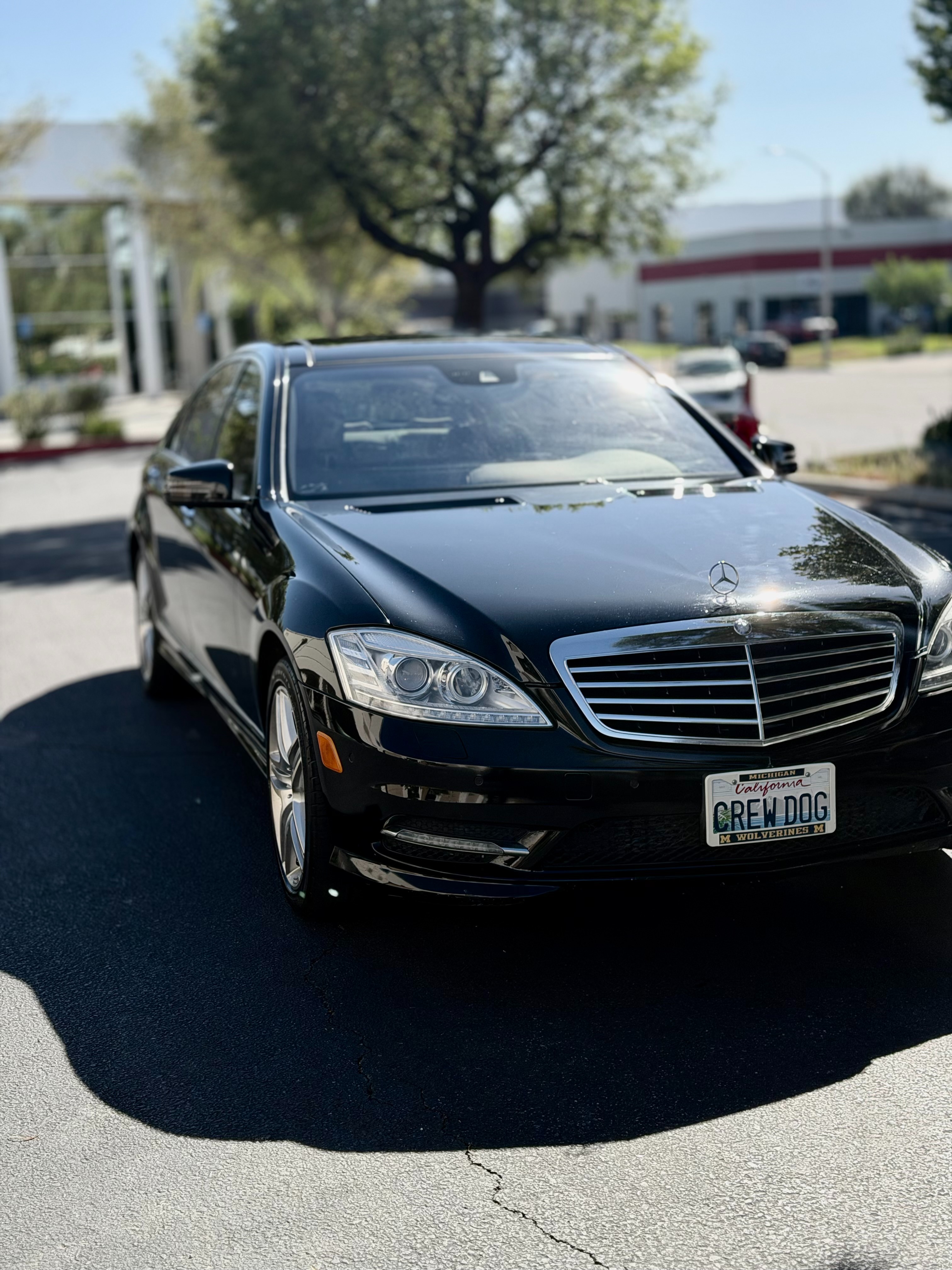 Used 2013 Mercedes-Benz S 350 BlueTEC 4MATIC image 6