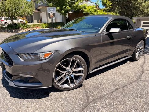 Used 2015 Ford Mustang Premium w/ Equipment Group 201A RWD image 5