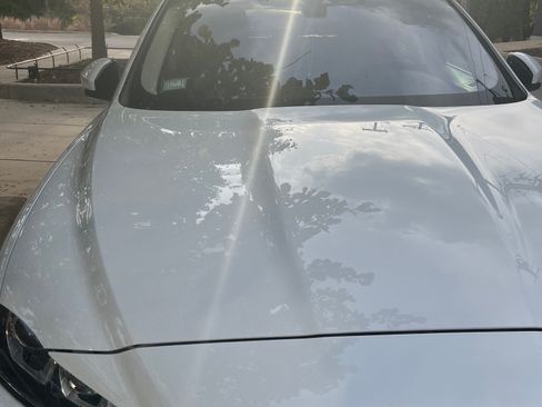 Used 2019 Jaguar F-PACE Prestige image 7