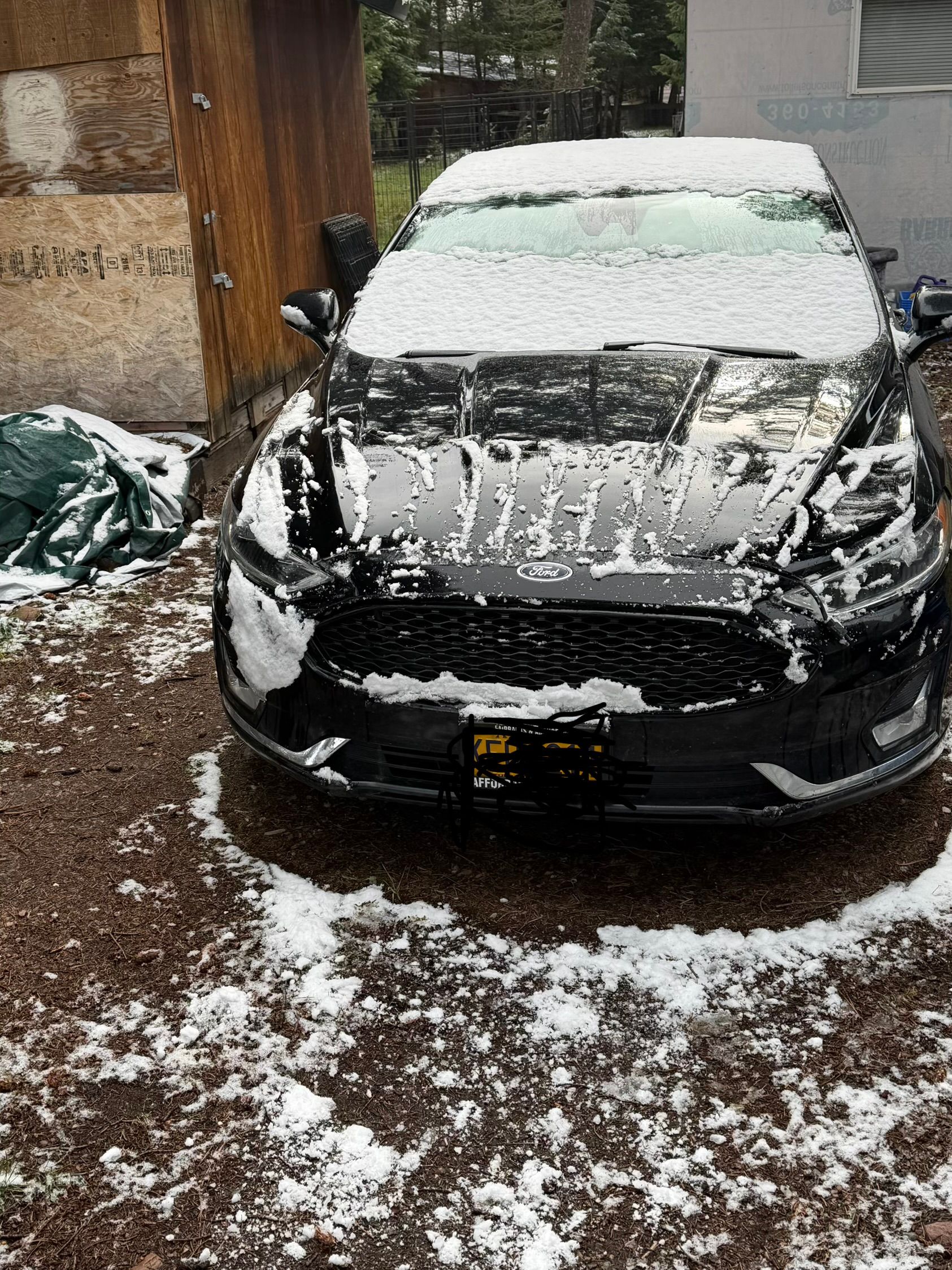 Used 2020 Ford Fusion Titanium AWD/4WD image 1