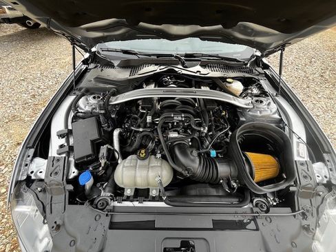 Used 2021 Ford Mustang Mach 1 w/ Mach 1 Handling Package image 12