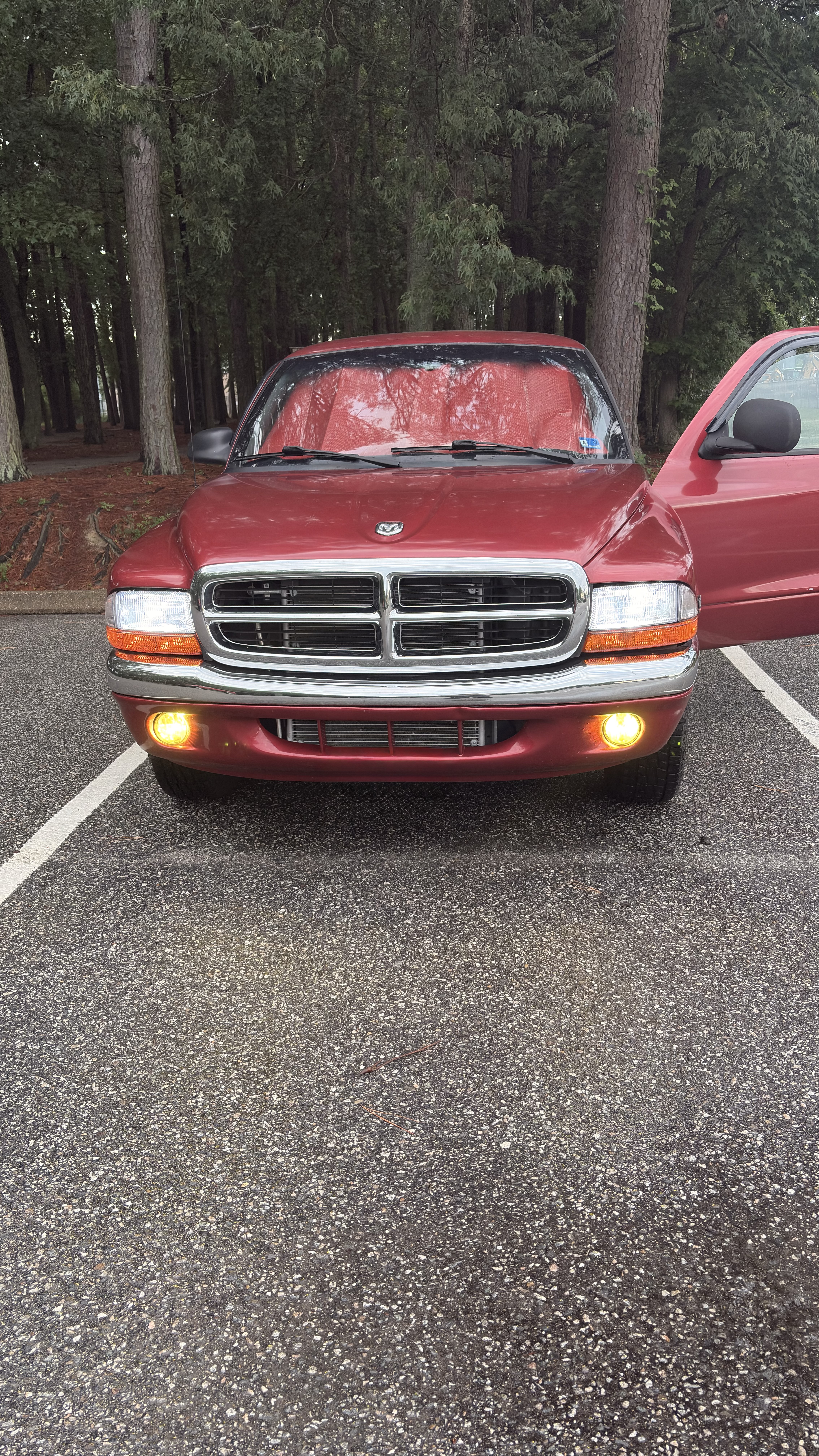 Used 1997 Dodge Dakota 2WD Club Cab image 1