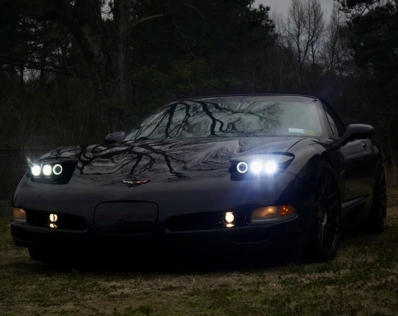 Used 2000 Chevrolet Corvette Convertible w/ Memory Pkg RWD image 2
