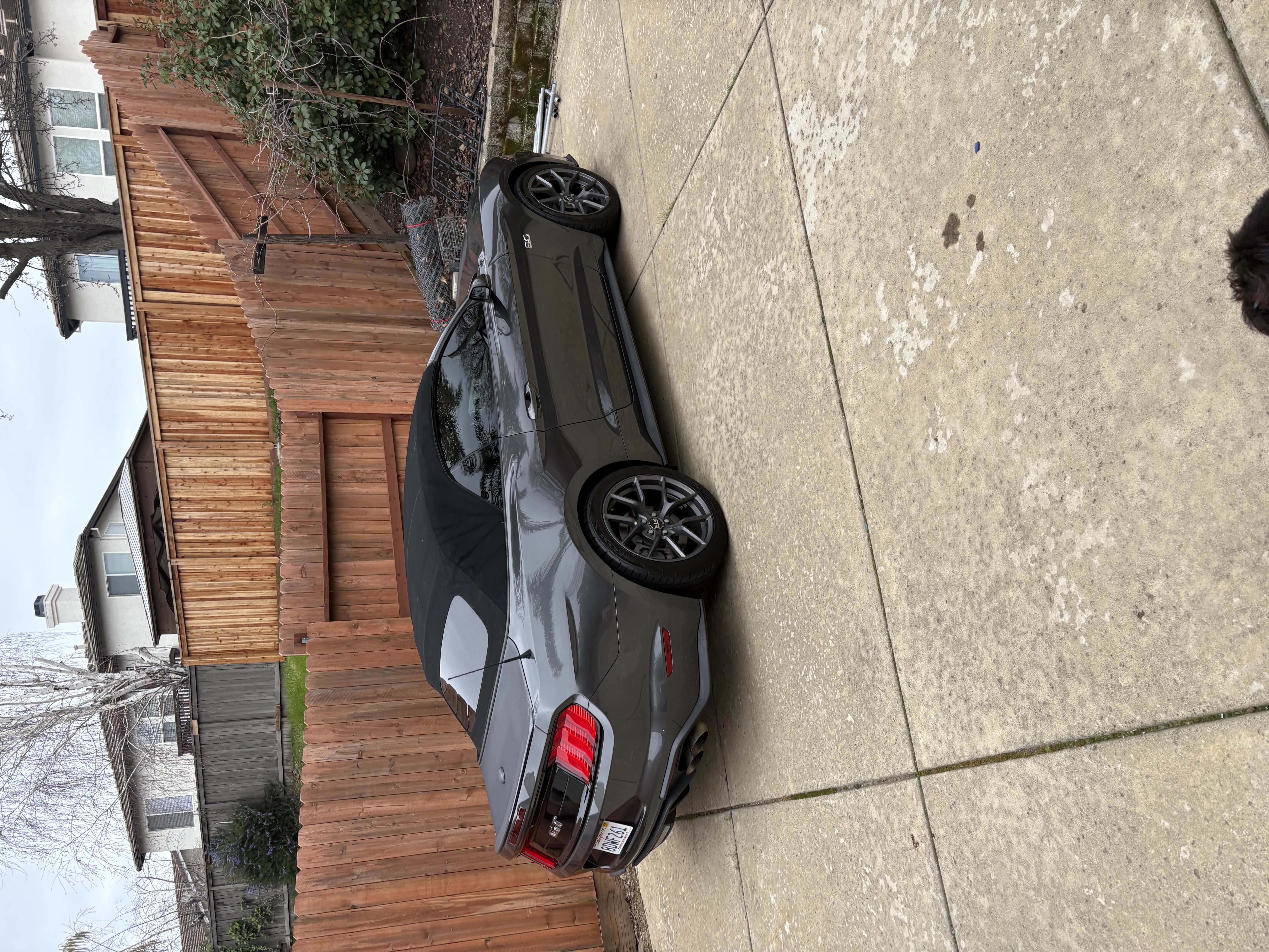 Used 2019 Ford Mustang GT Premium RWD image 5