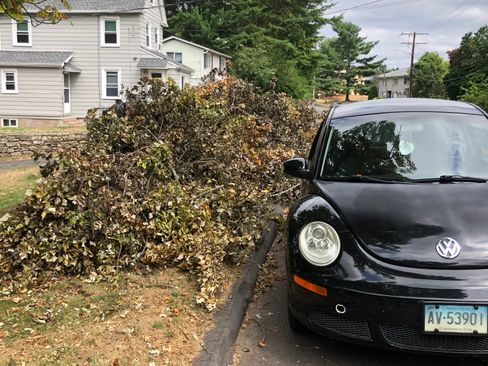 Used 2009 Volkswagen Beetle Coupe image 6