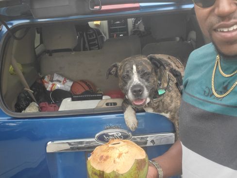 Used 2010 Ford Explorer XLT image 1