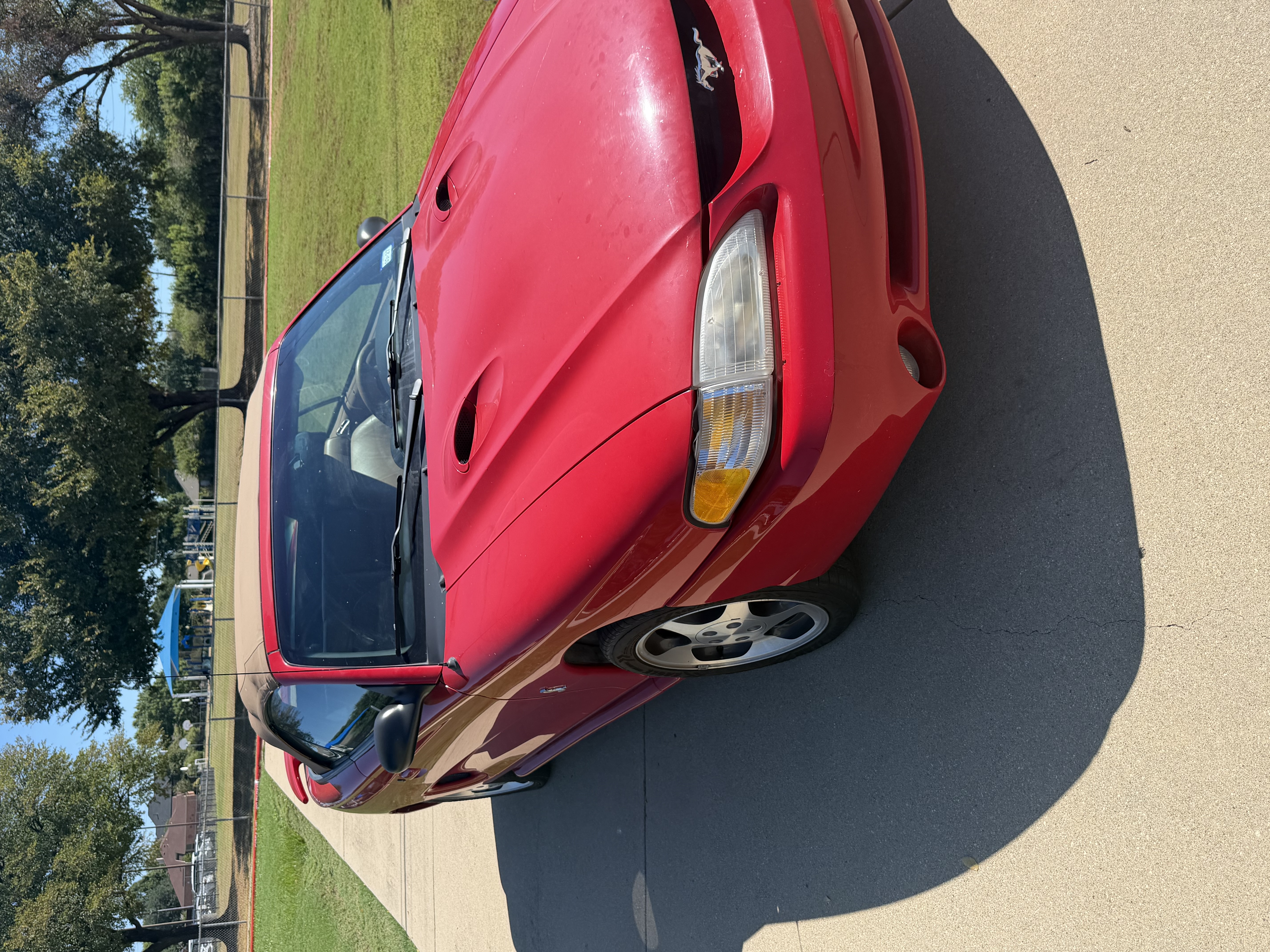Used 1997 Ford Mustang Cobra RWD image 8