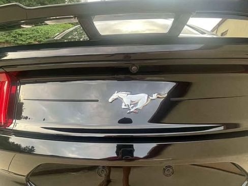 Used 2019 Ford Mustang Premium w/ Ecoboost Performance Package image 9