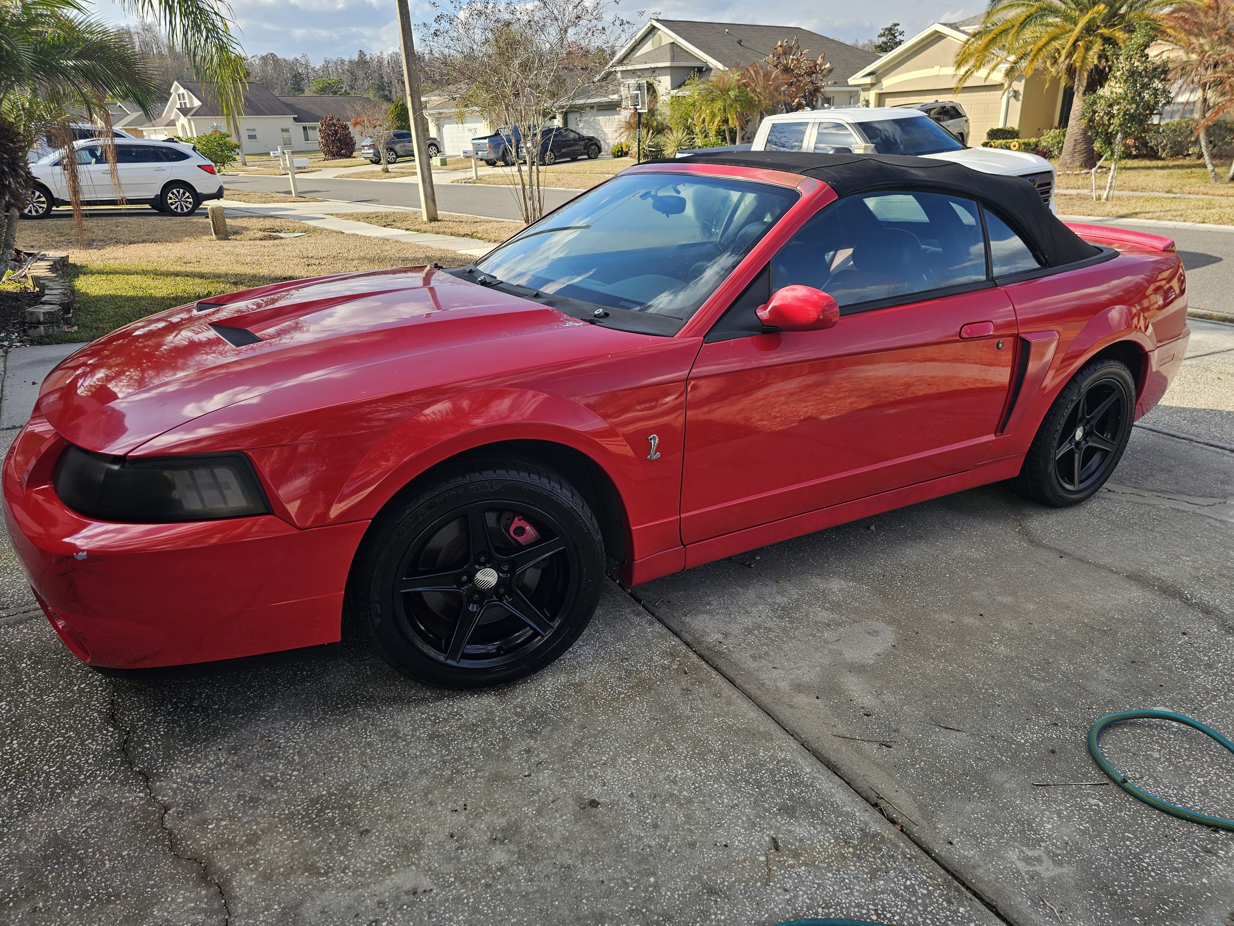 Used 2003 Ford Mustang Cobra RWD image 15