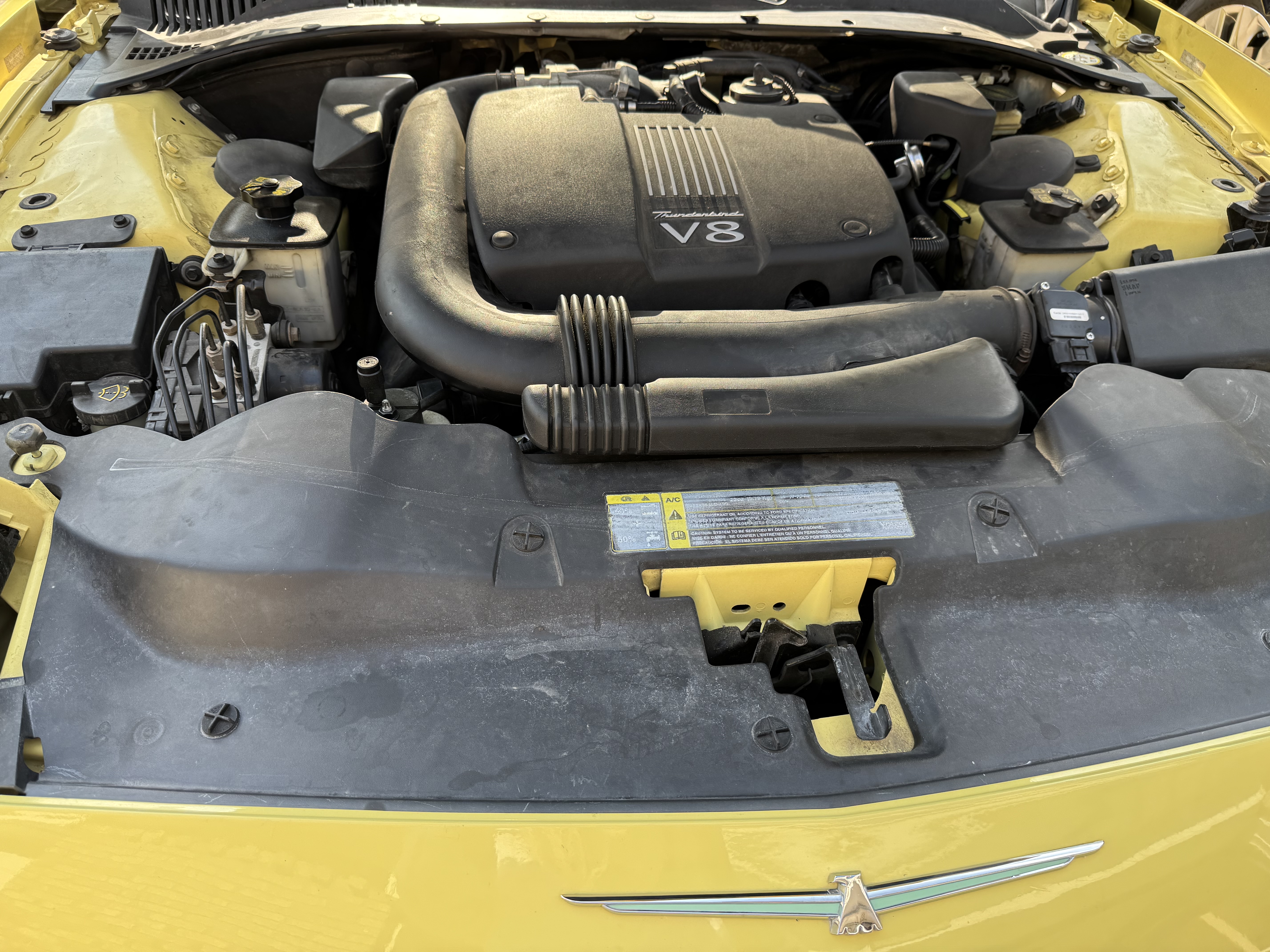 Used 2002 Ford Thunderbird RWD image 8