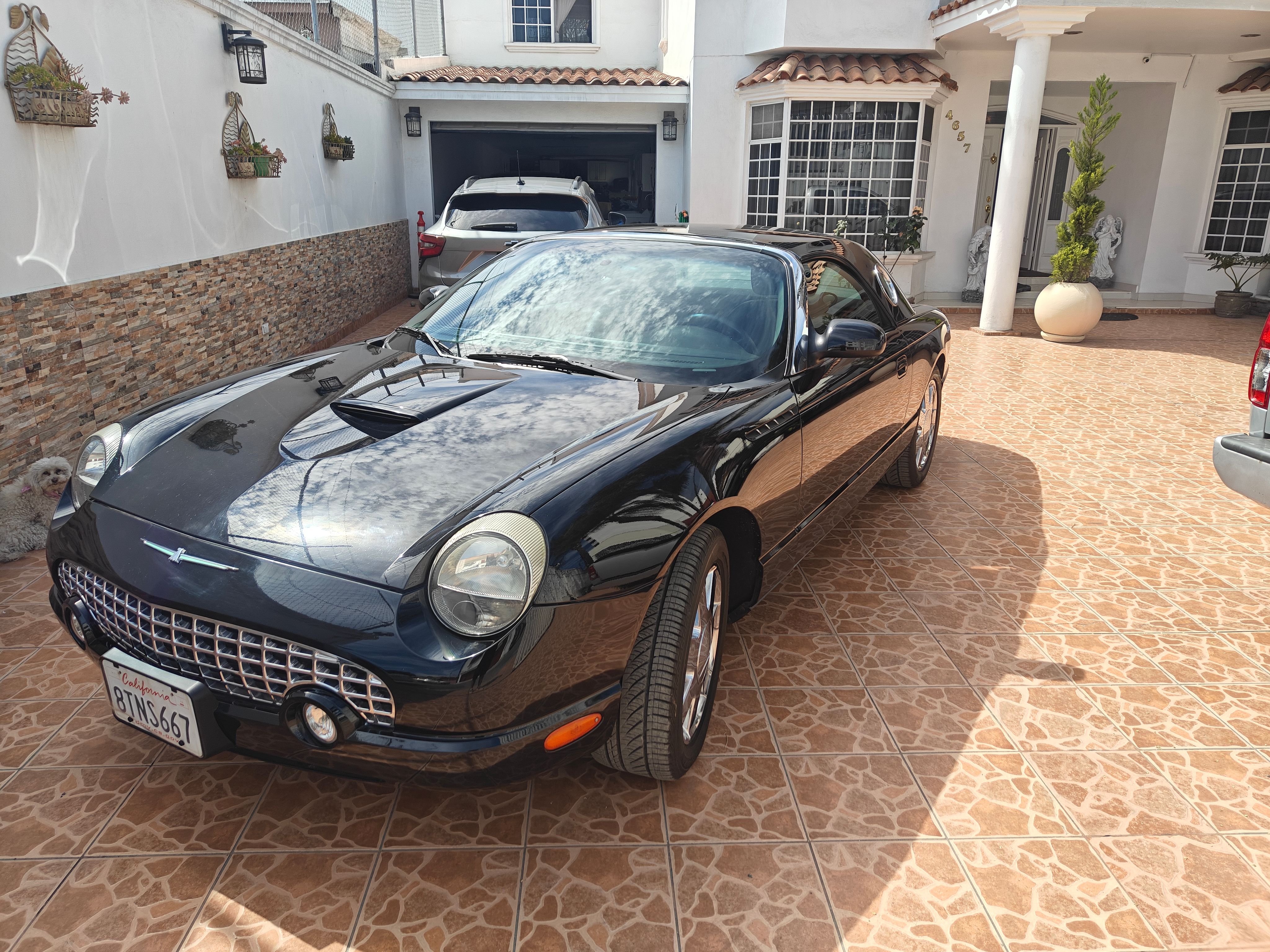 Used 2002 Ford Thunderbird RWD image 4
