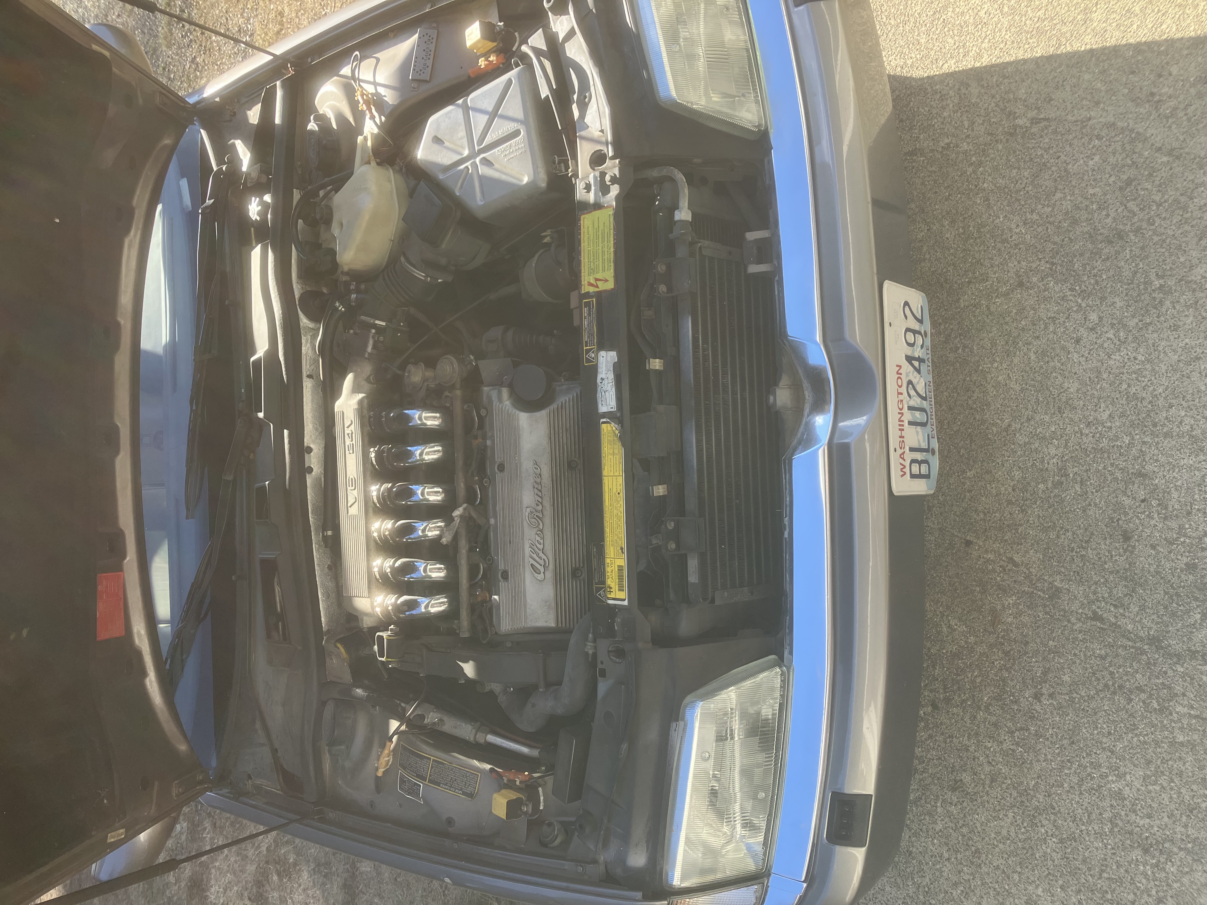 Used 1994 Alfa Romeo 164 LS FWD image 11