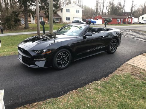 Used 2020 Ford Mustang Premium w/ Equipment Group 201A RWD image 6