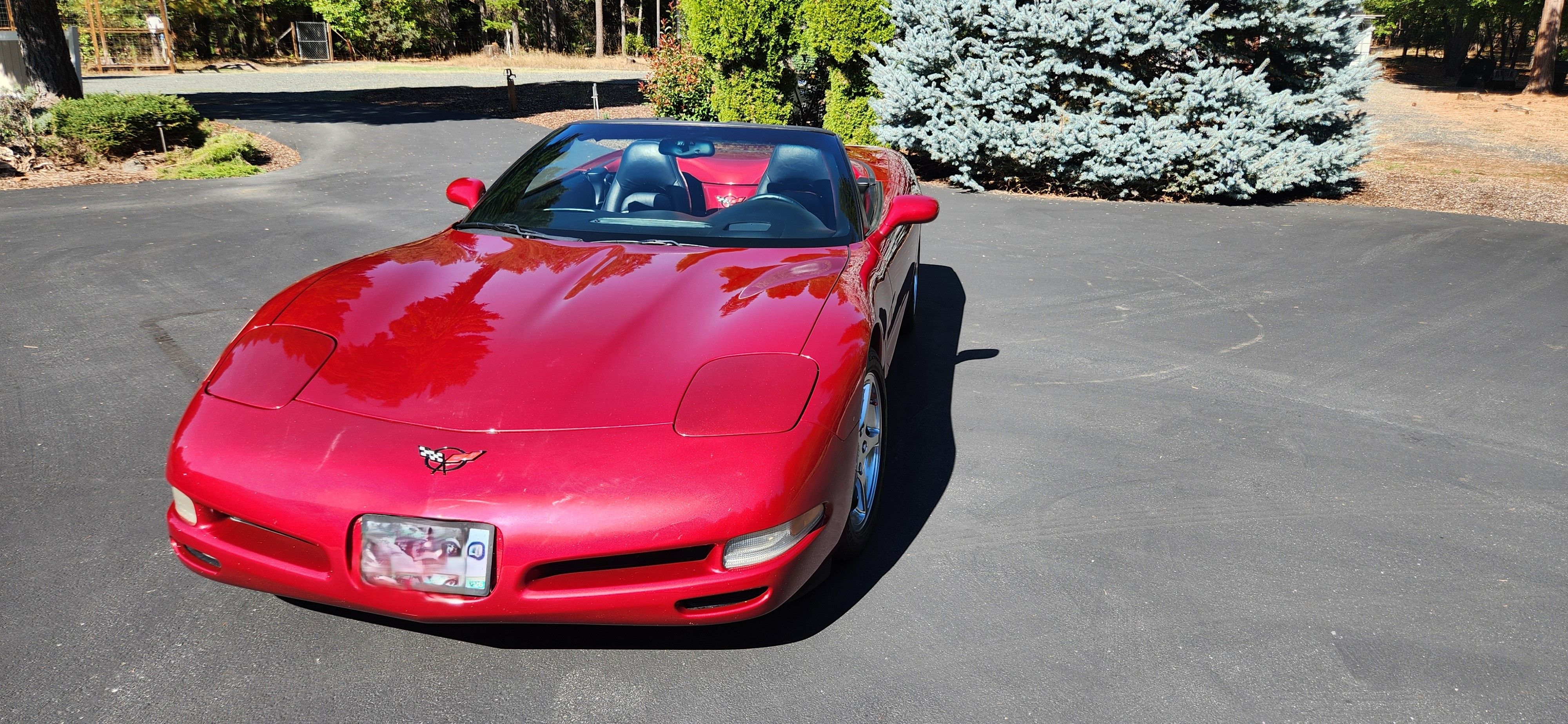 Used 2002 Chevrolet Corvette Convertible w/ Preferred Equipment Group2 RWD image 5