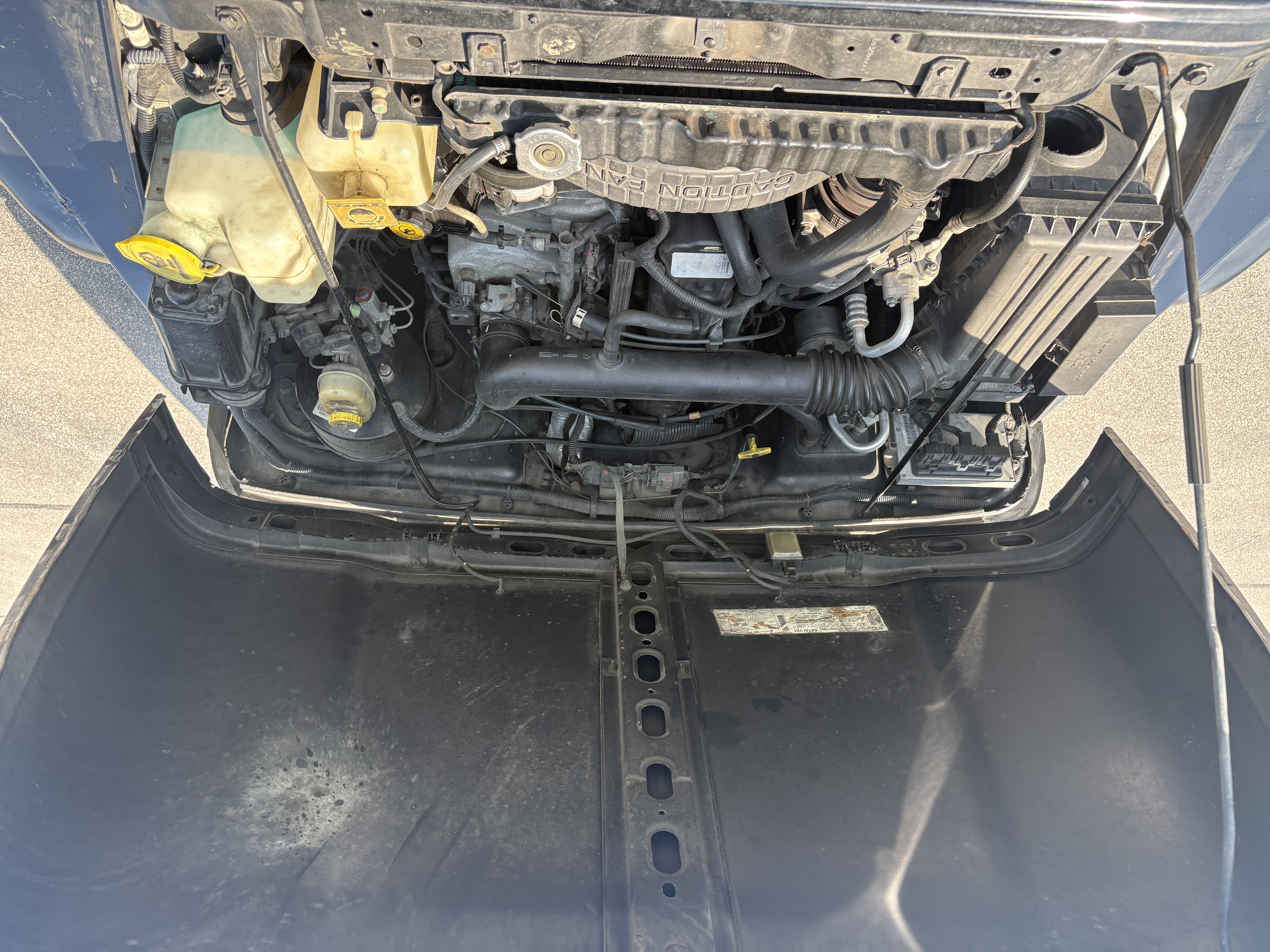 Used 1999 Jeep Wrangler Sport AWD/4WD image 21