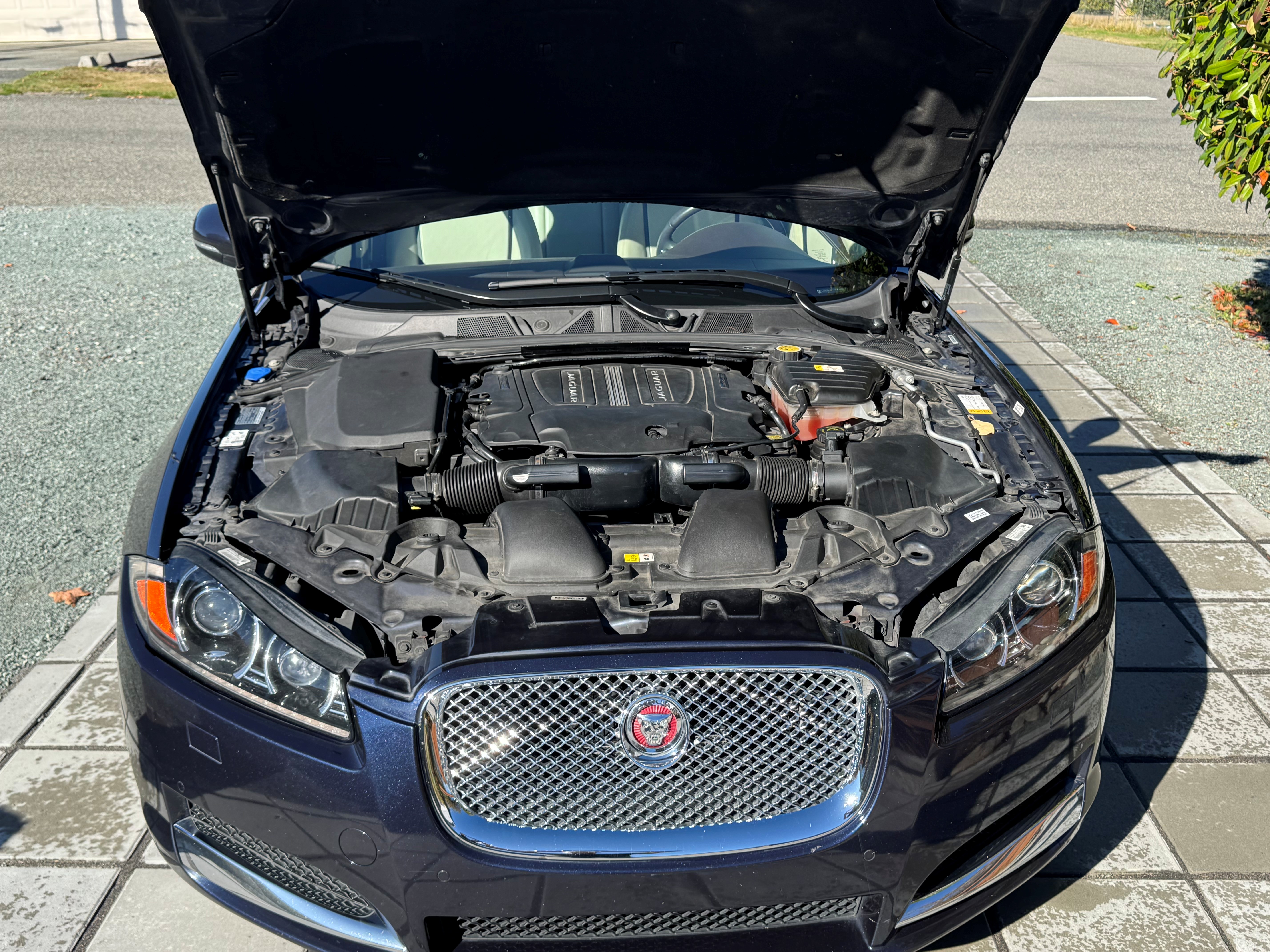 Used 2015 Jaguar XF Portfolio AWD/4WD image 17