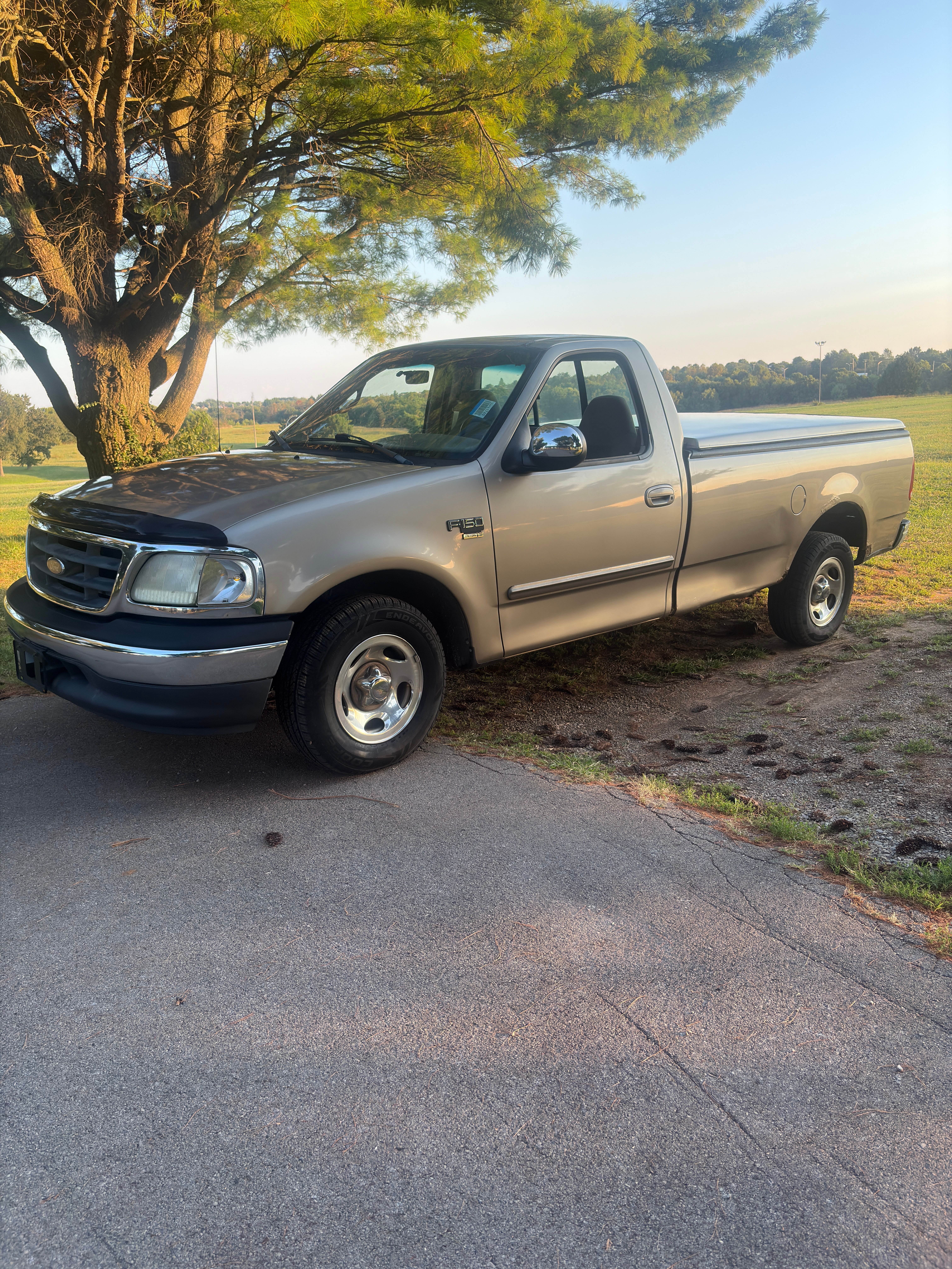 Used 2001 Ford F150 2WD Regular Cab image 4