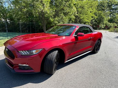 Used 2016 Ford Mustang Premium w/ Ecoboost Performance Package RWD image 8