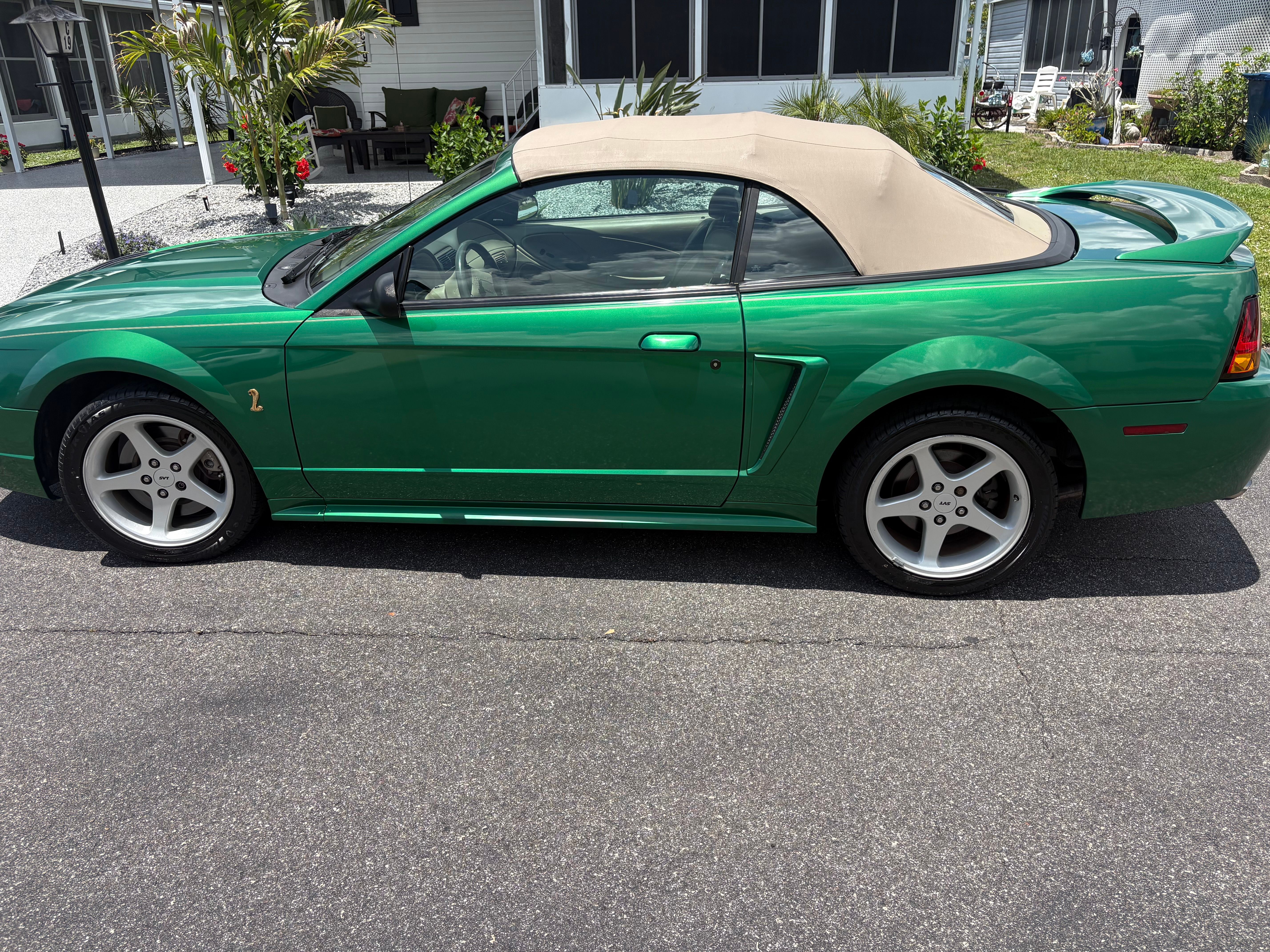 Used 1999 Ford Mustang Cobra RWD image 2