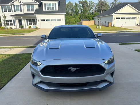Used 2019 Ford Mustang Coupe w/ Ecoboost Performance Package RWD image 2