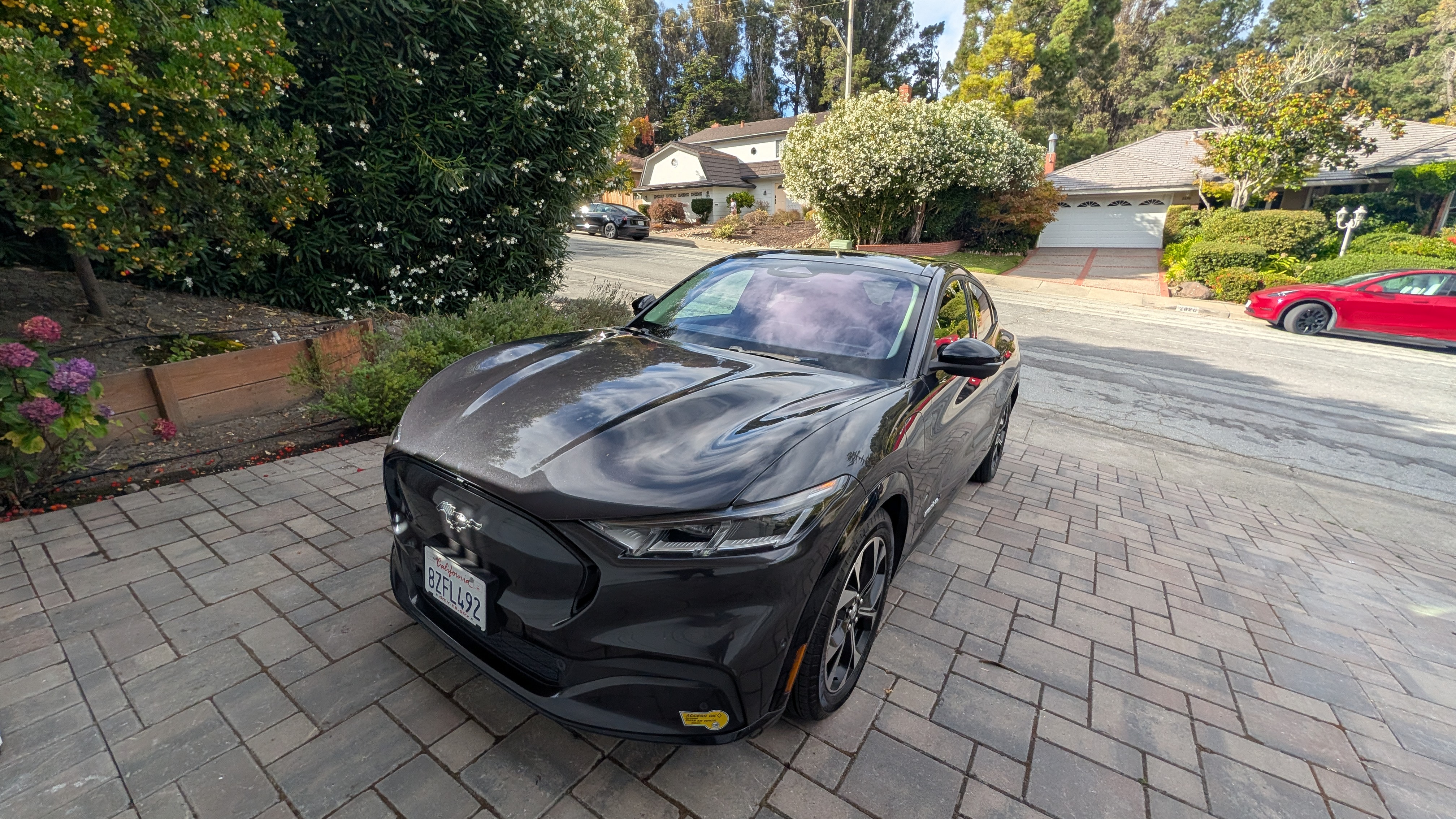 Used 2021 Ford Mustang Mach-E Premium AWD/4WD image 11
