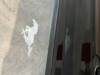 Used 2019 Ford Mustang GT Premium w/ GT Performance Package