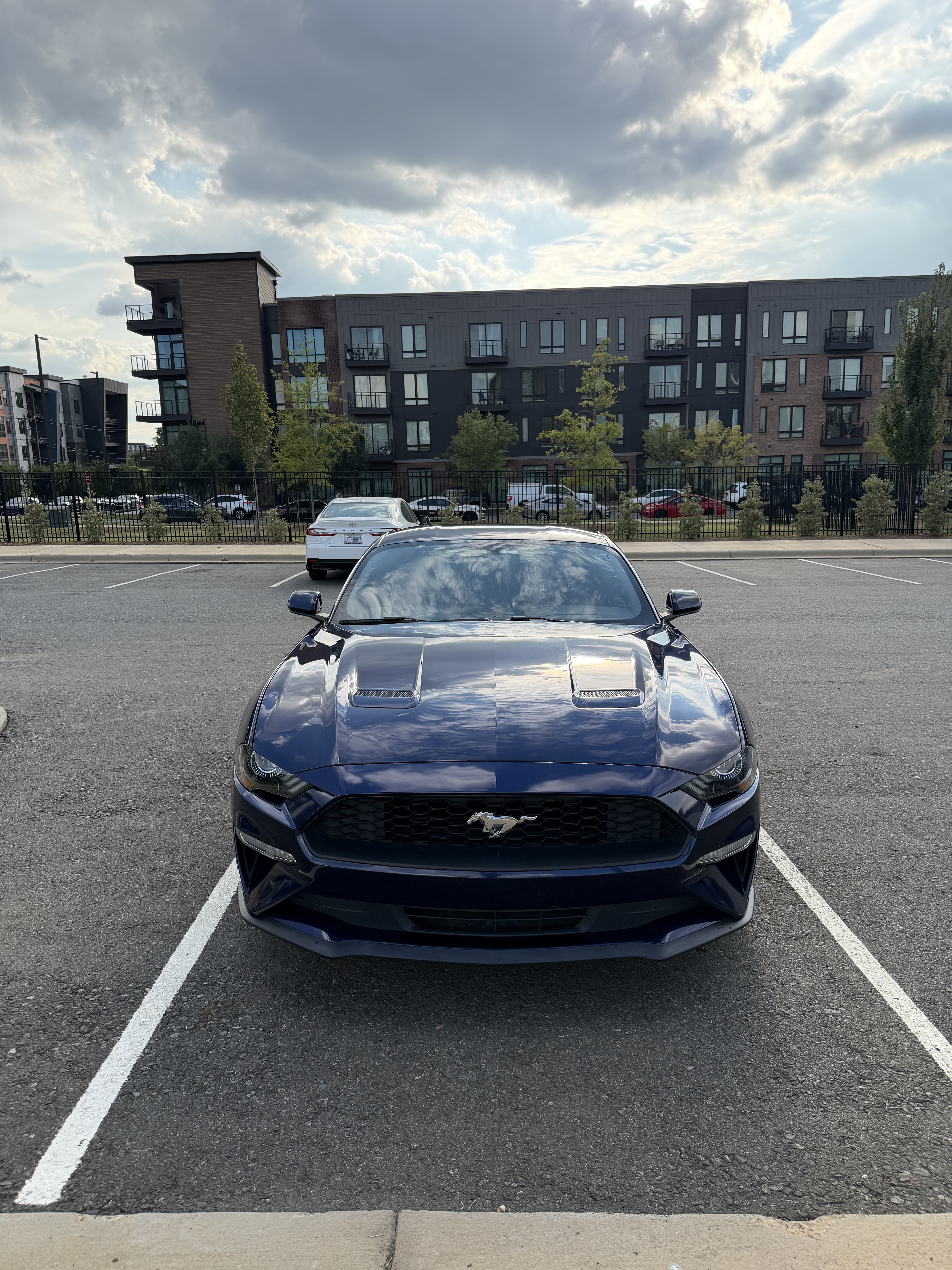 Used 2020 Ford Mustang Coupe w/ Equipment Group 101A RWD image 4