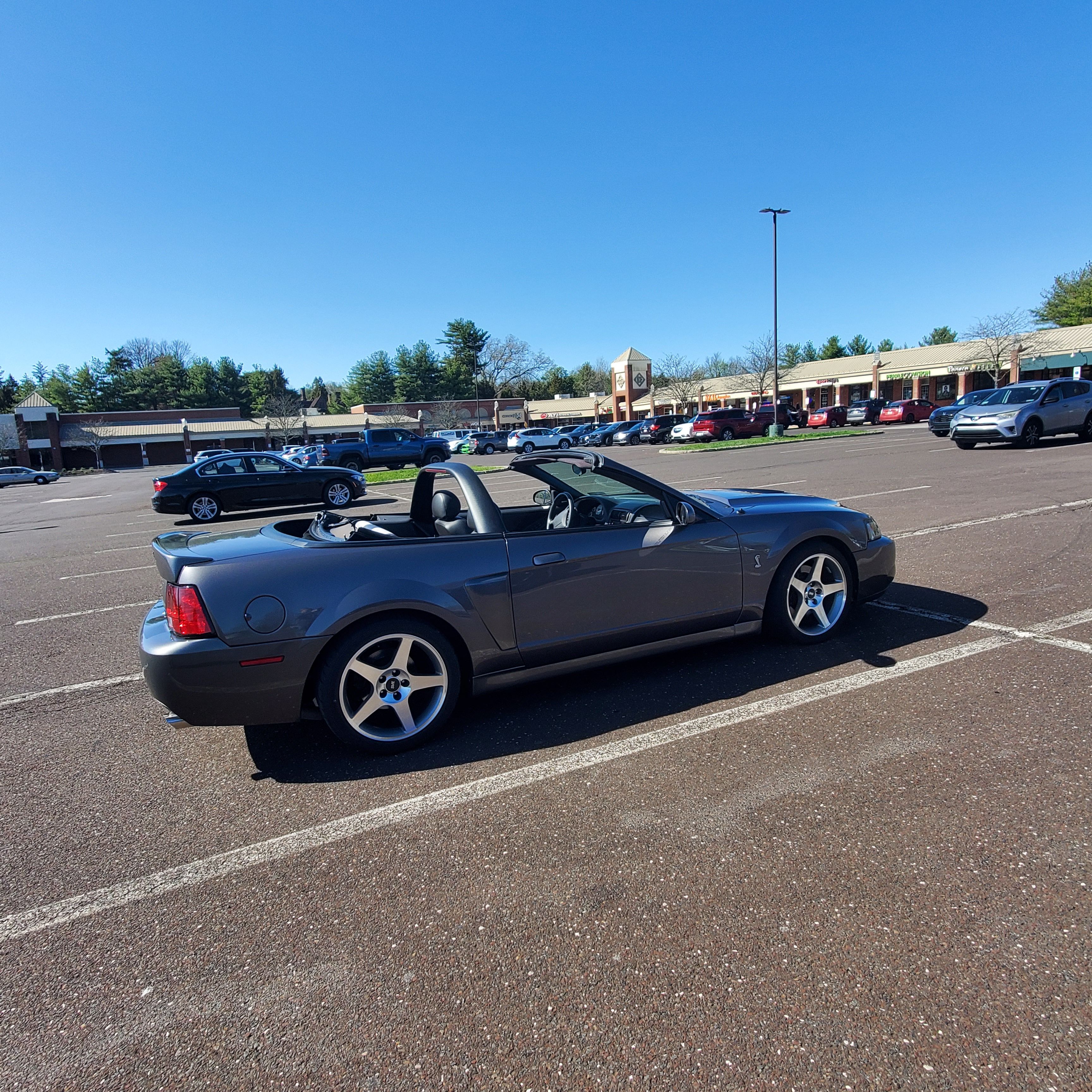 Used 2003 Ford Mustang Cobra RWD image 2