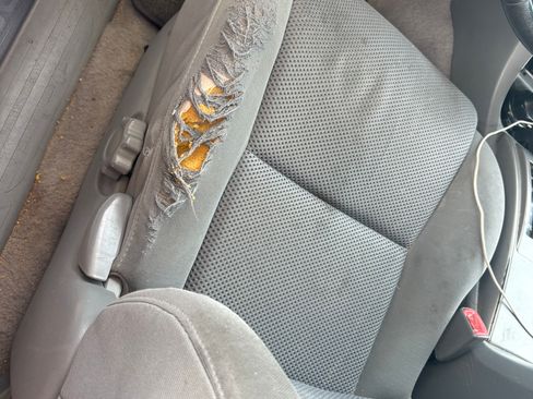 Used 2009 Toyota Tacoma PreRunner image 8