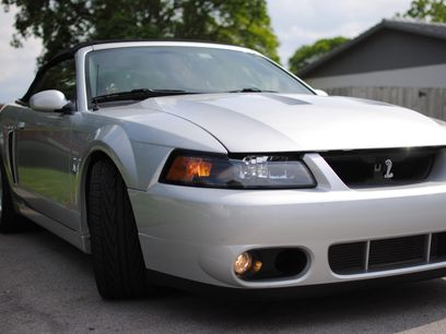 Used 2003 Ford Mustang Cobra