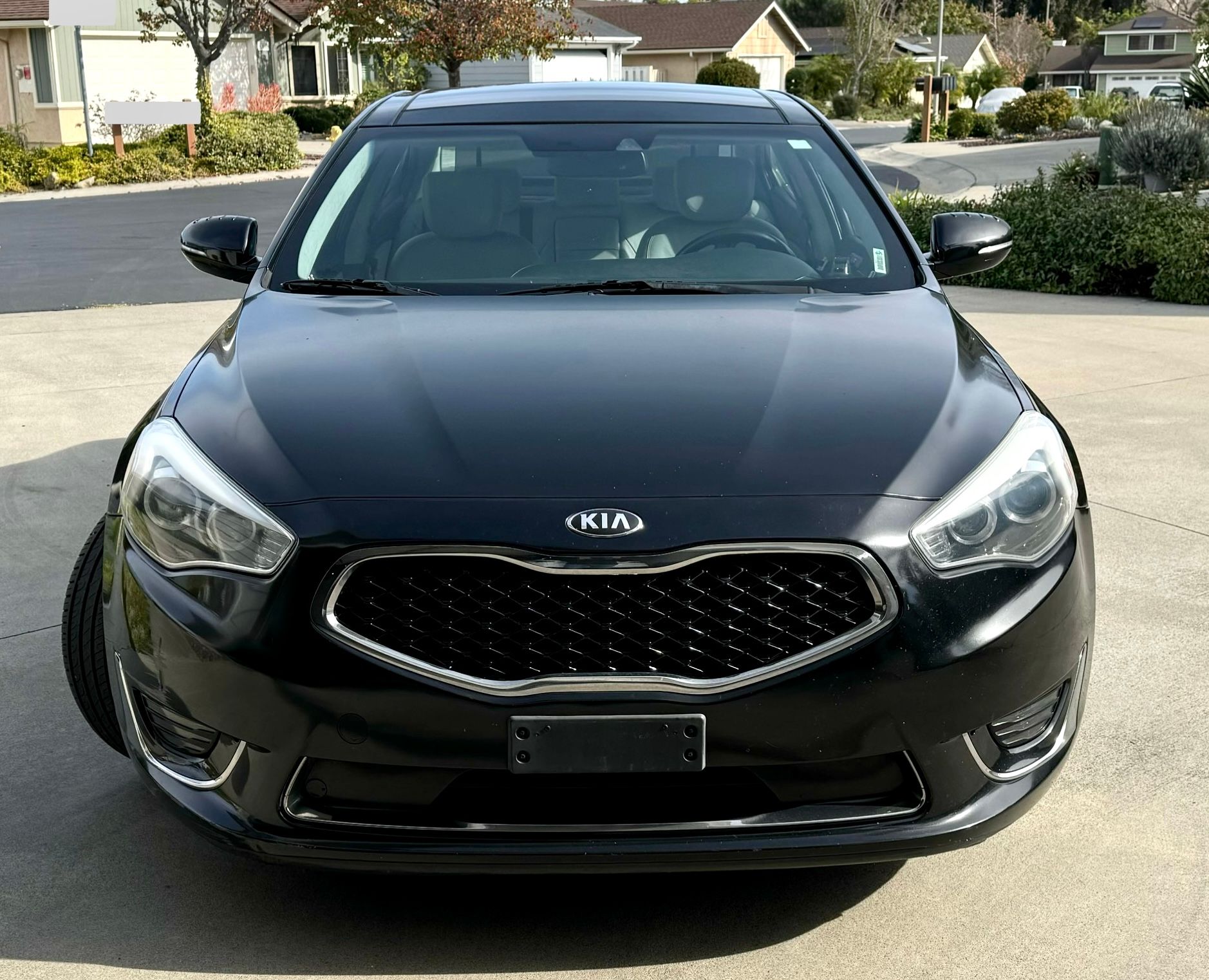 Used 2014 Kia Cadenza Limited FWD image 8