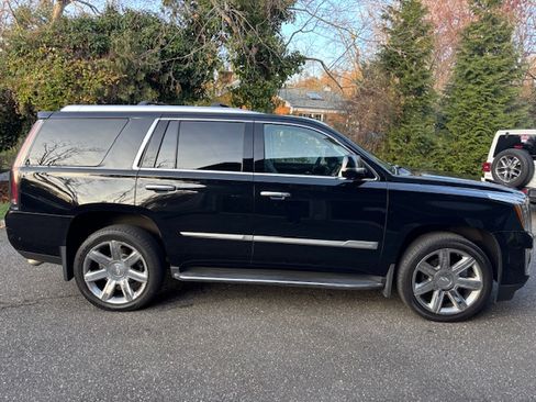 Used 2019 Cadillac Escalade Luxury image 5