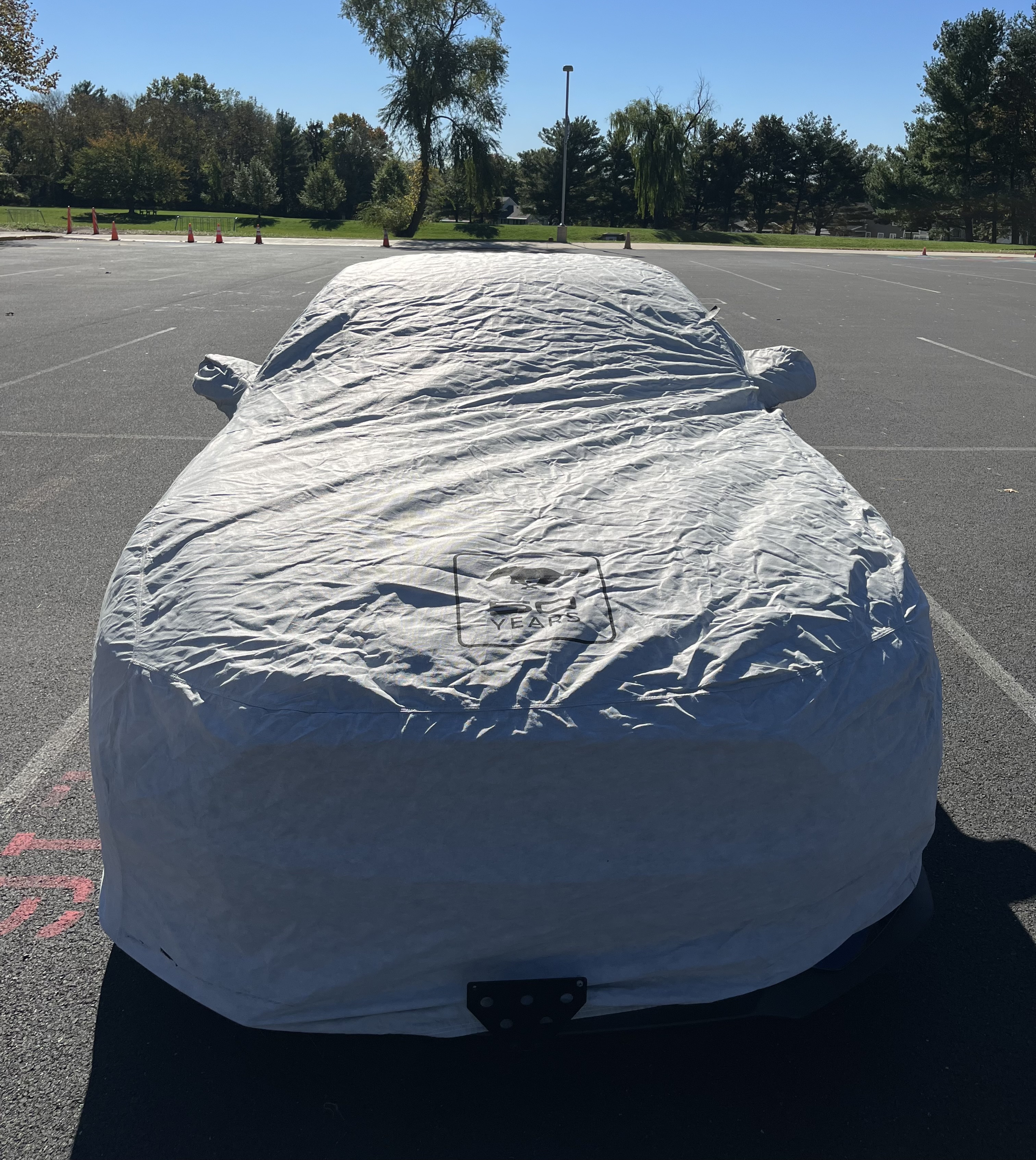 Used 2015 Ford Mustang 50 Years RWD image 20