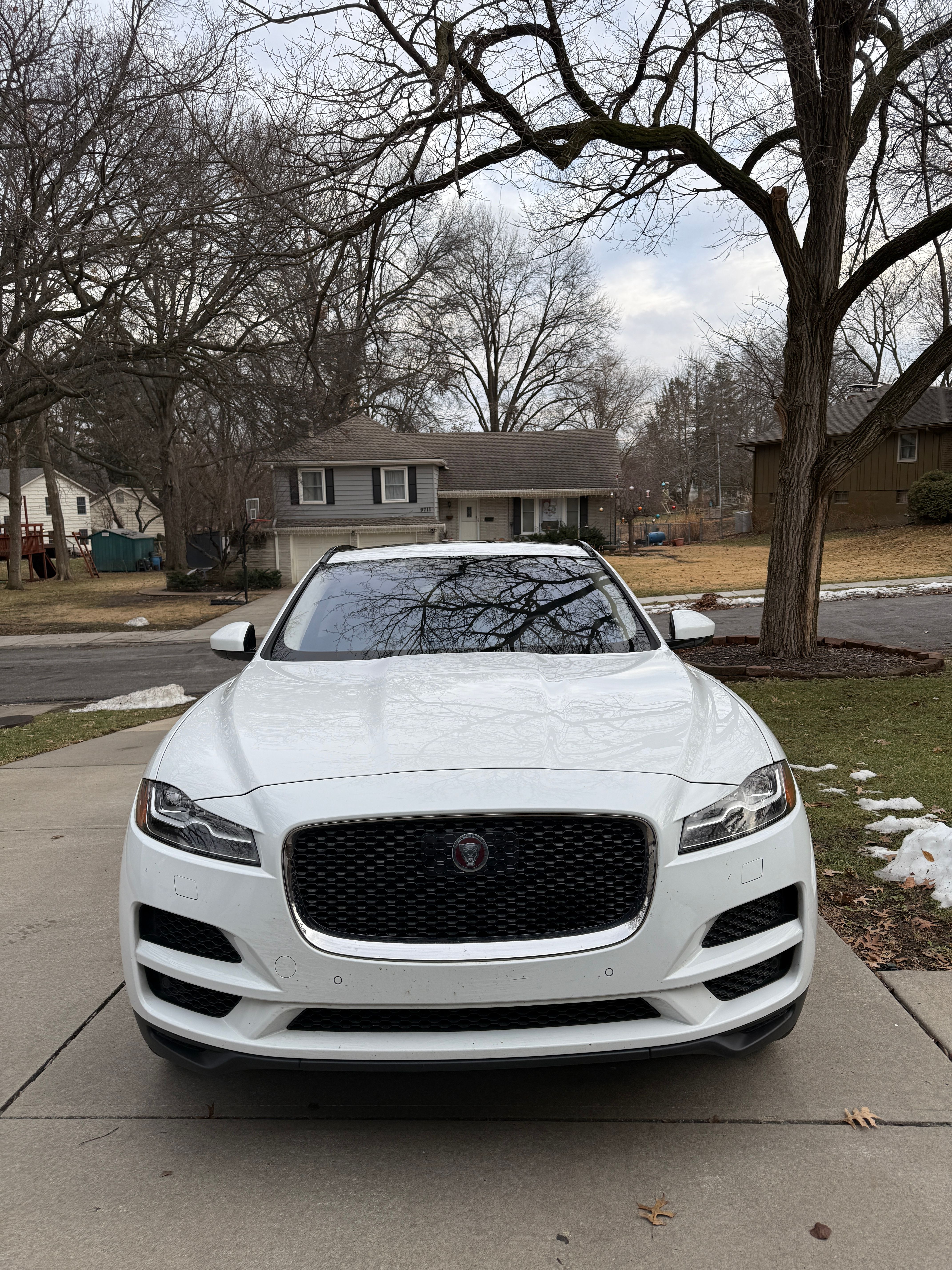 Used 2019 Jaguar F-PACE Prestige AWD/4WD image 2