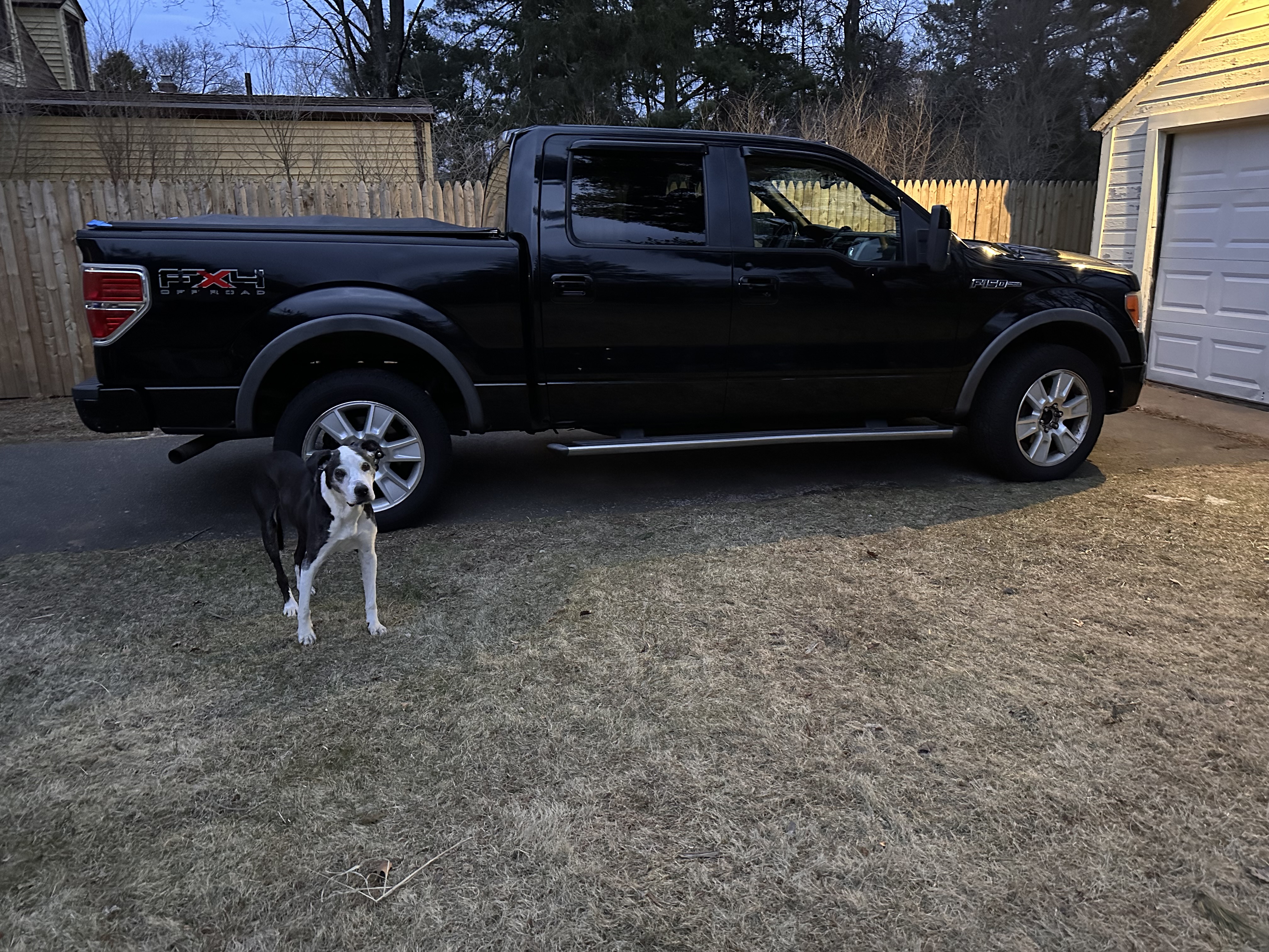 Used 2009 Ford F150 FX4 AWD/4WD image 17