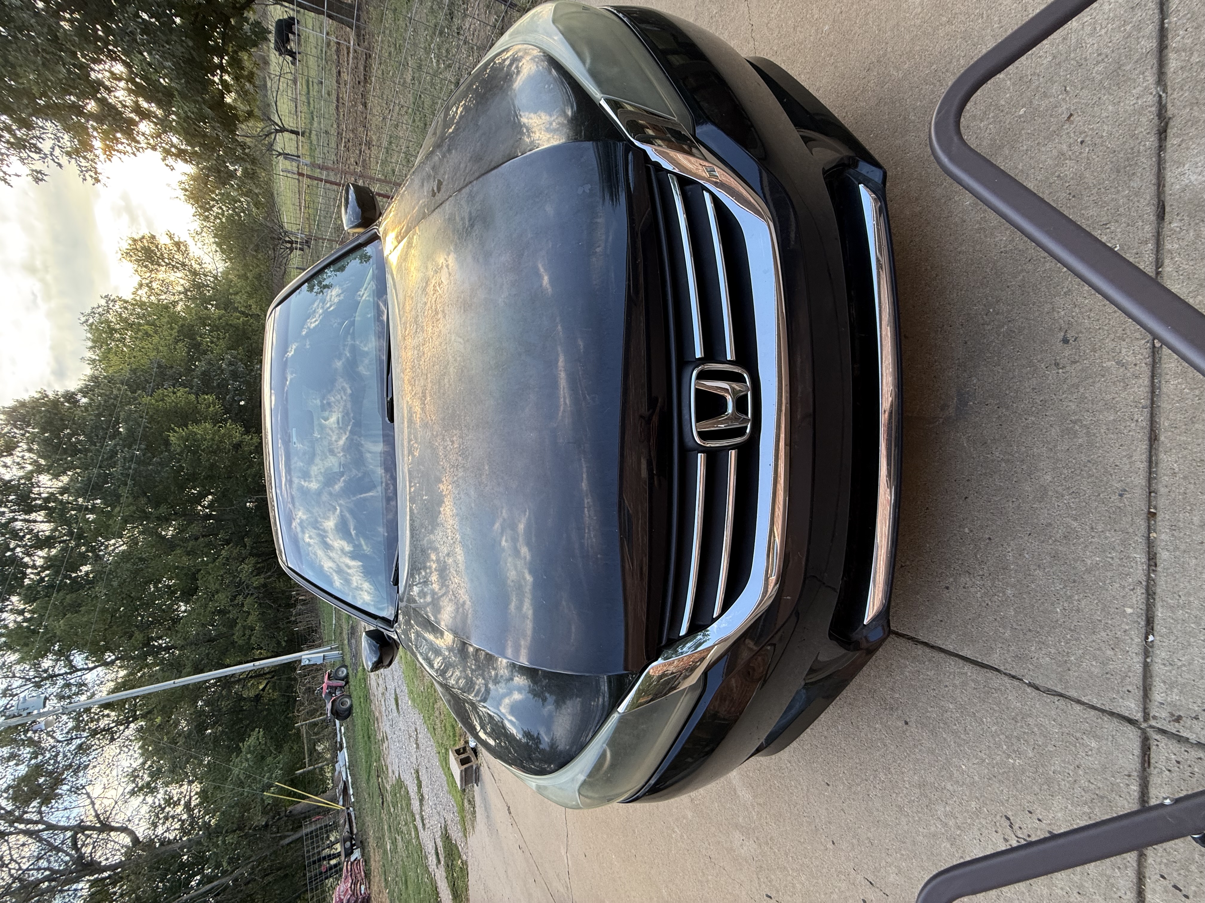 Used 2013 Honda Accord Sport image 4