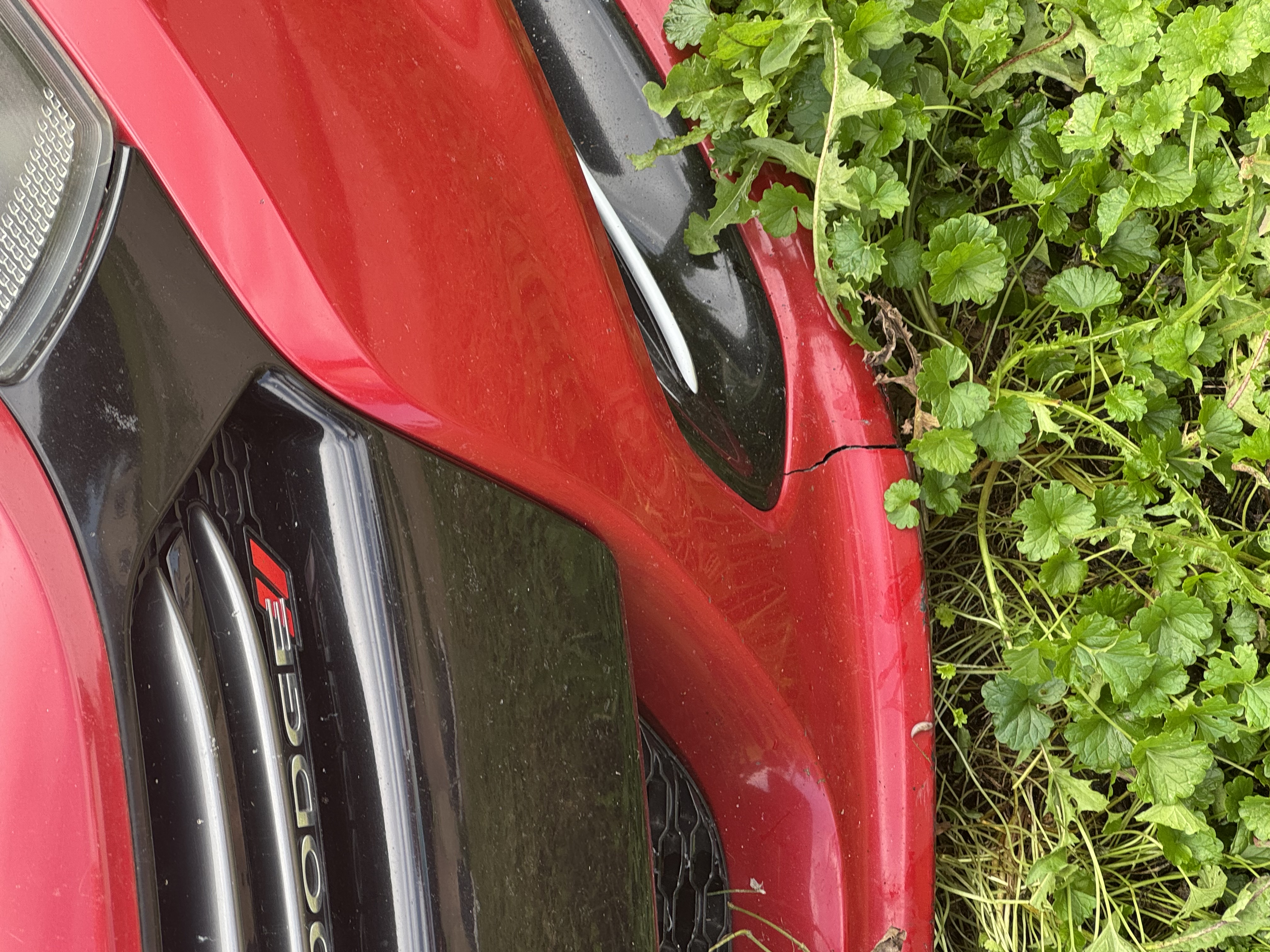 Used 2014 Dodge Dart GT FWD image 4