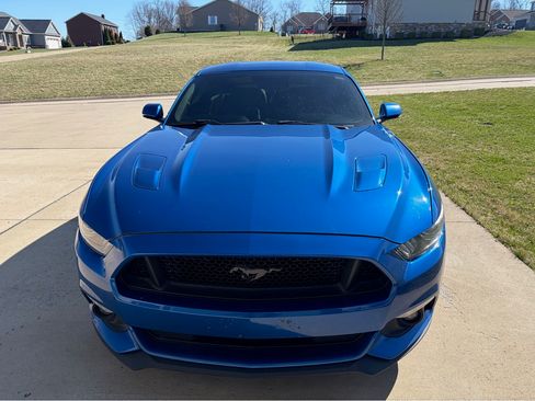 Used 2017 Ford Mustang GT Premium w/ Equipment Group 401A image 5