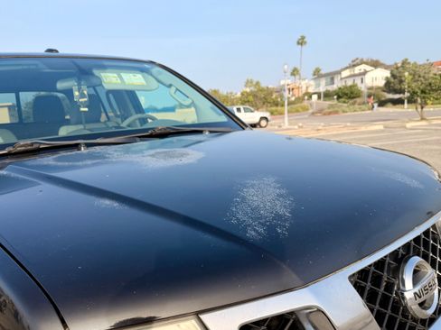 Used 2014 Nissan Frontier SV image 16