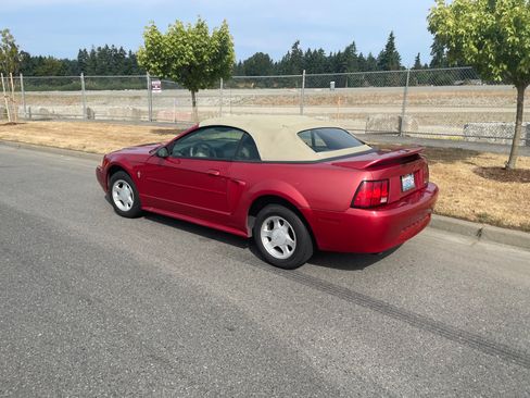 Used 2000 Ford Mustang Convertible RWD image 2