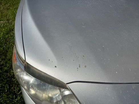 Used 2010 Toyota Corolla LE image 11