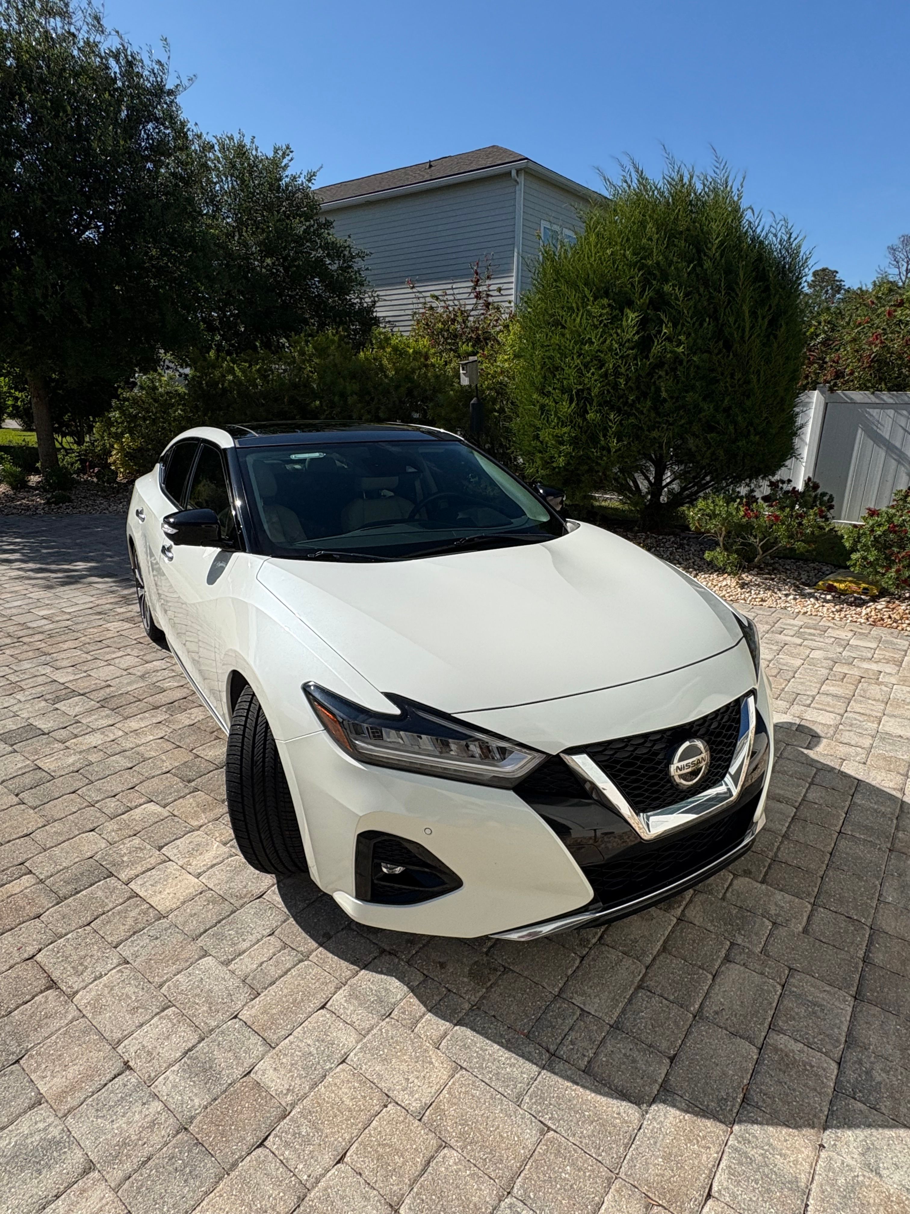 Used 2019 Nissan Maxima Platinum w/ Illumination Package FWD image 1
