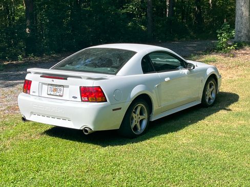 Used 2001 Ford Mustang Cobra RWD image 6