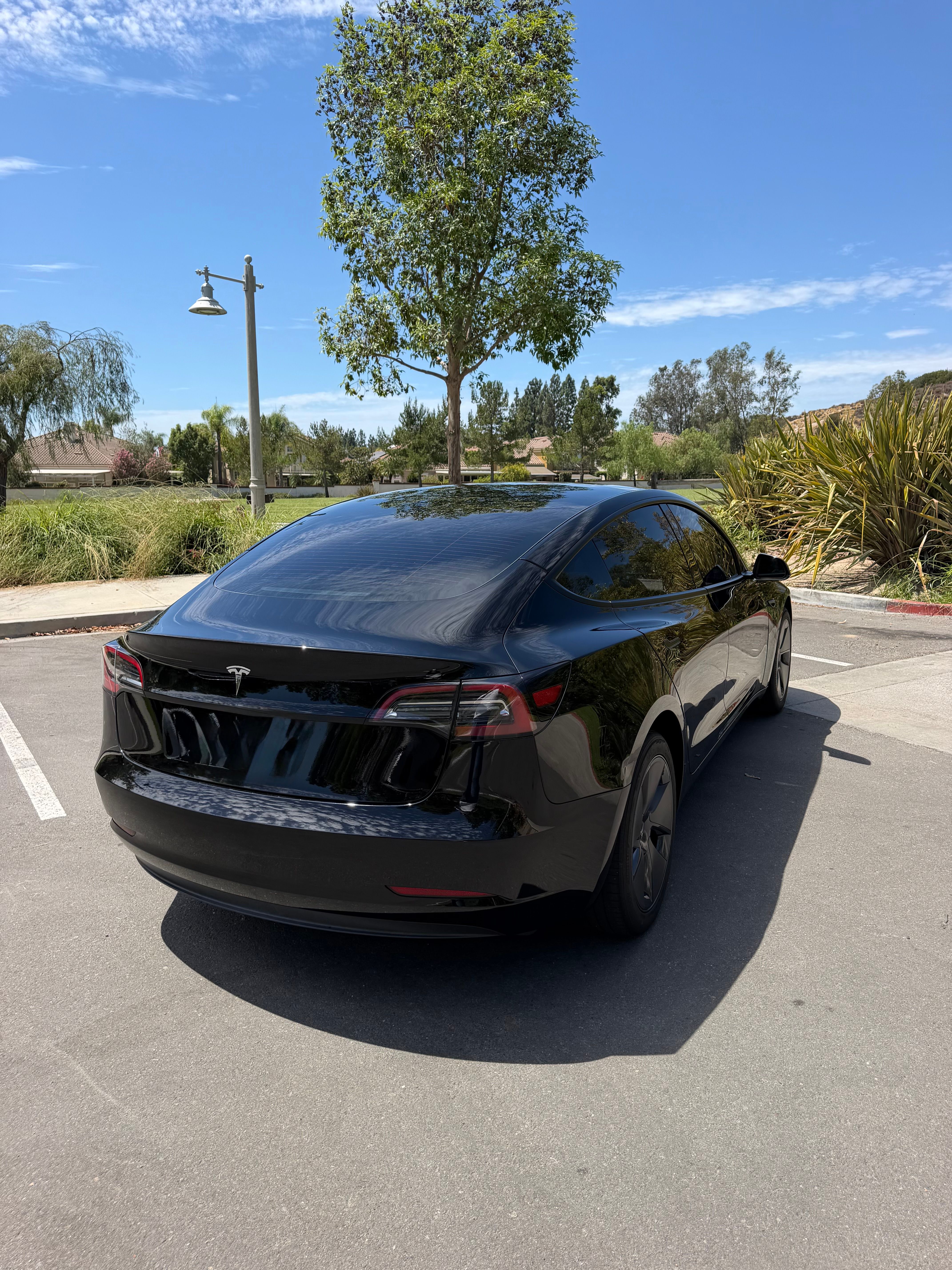 Used 2023 Tesla Model 3 Standard Range RWD image 5