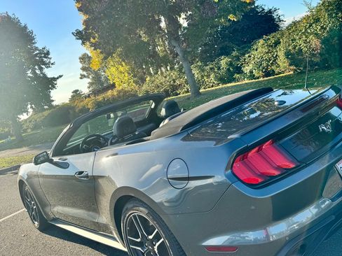 Used 2018 Ford Mustang Premium image 11