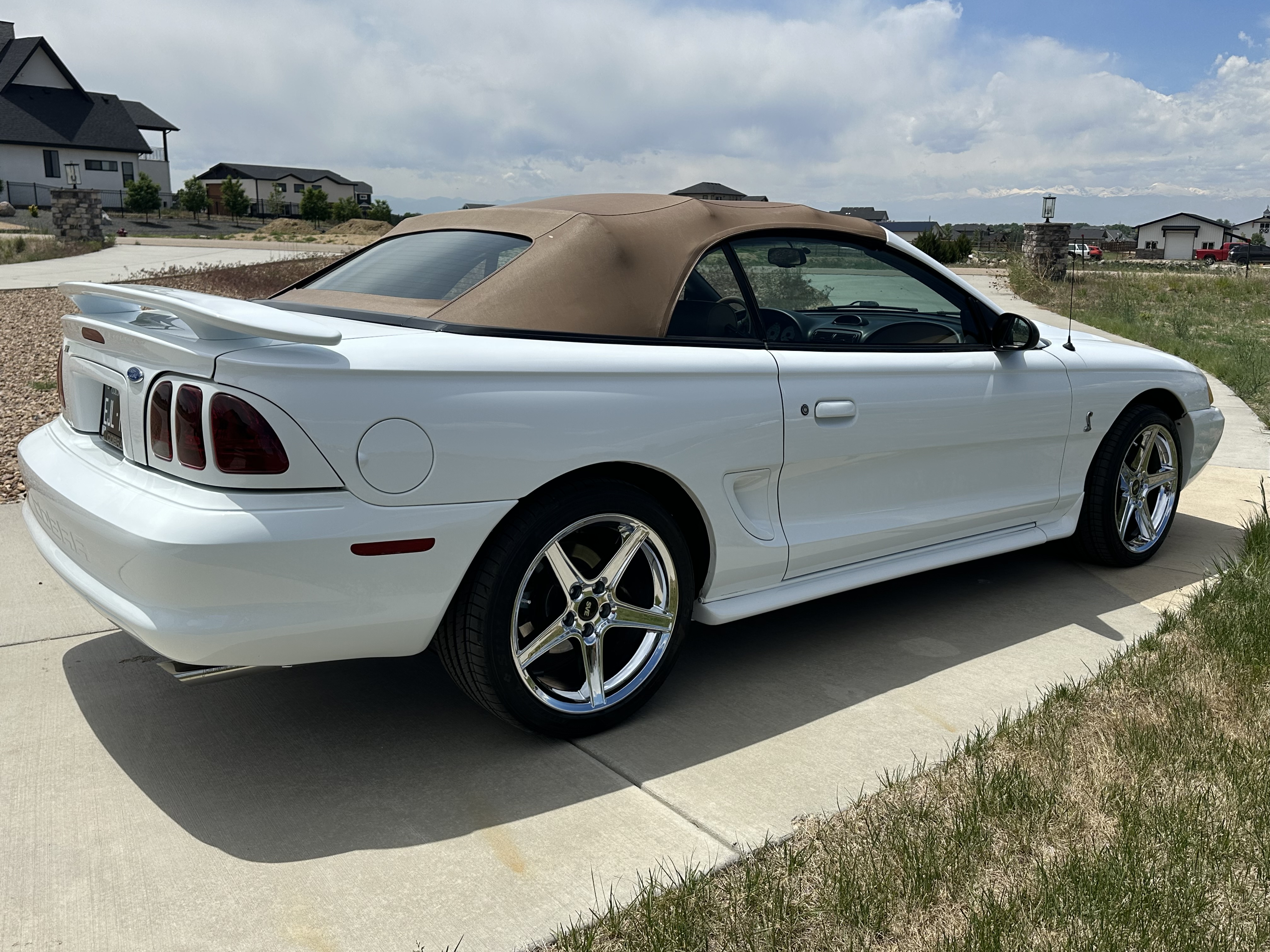 Used 1997 Ford Mustang Cobra RWD image 6