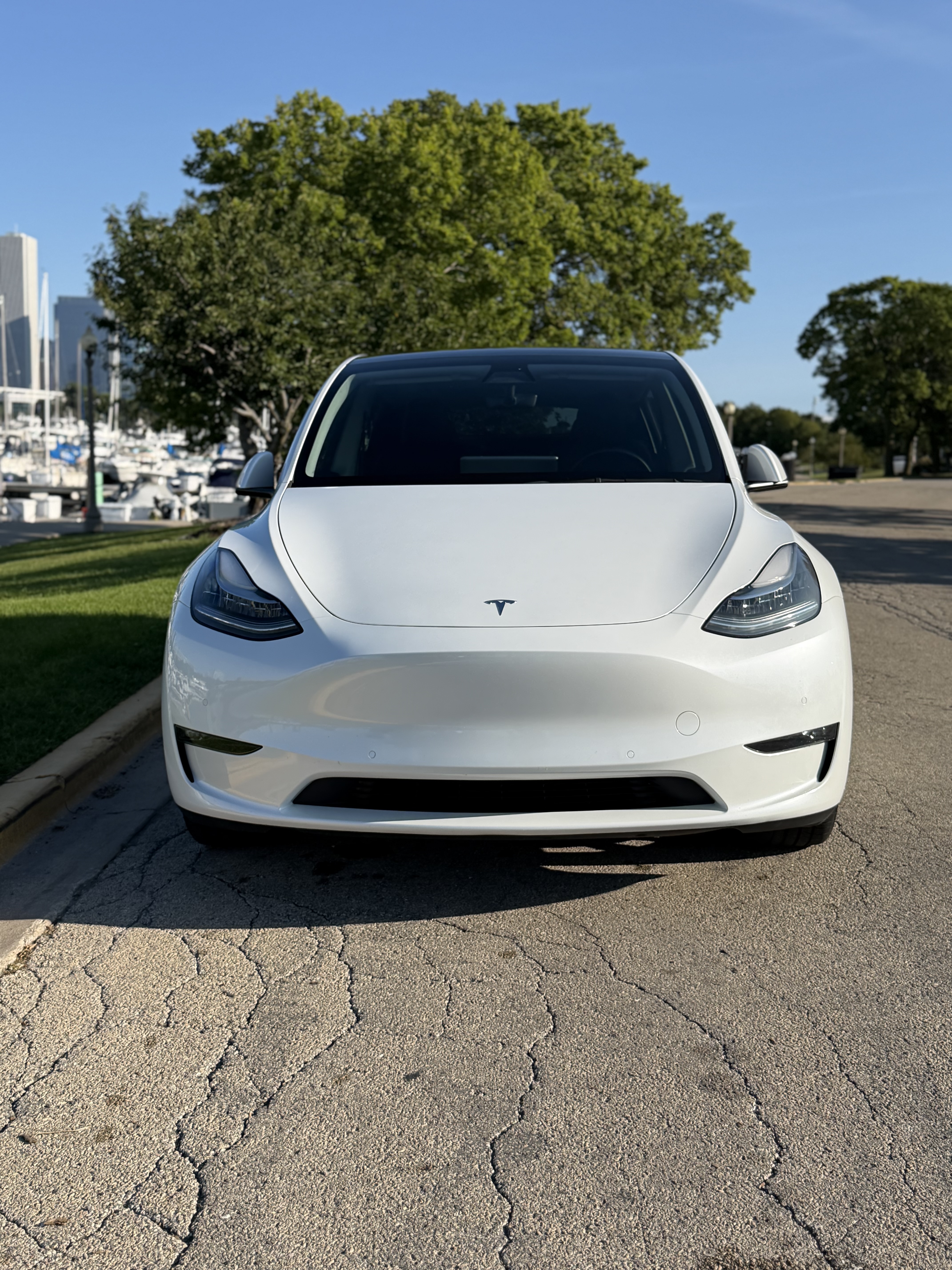 Used 2021 Tesla Model Y Long Range AWD/4WD image 2