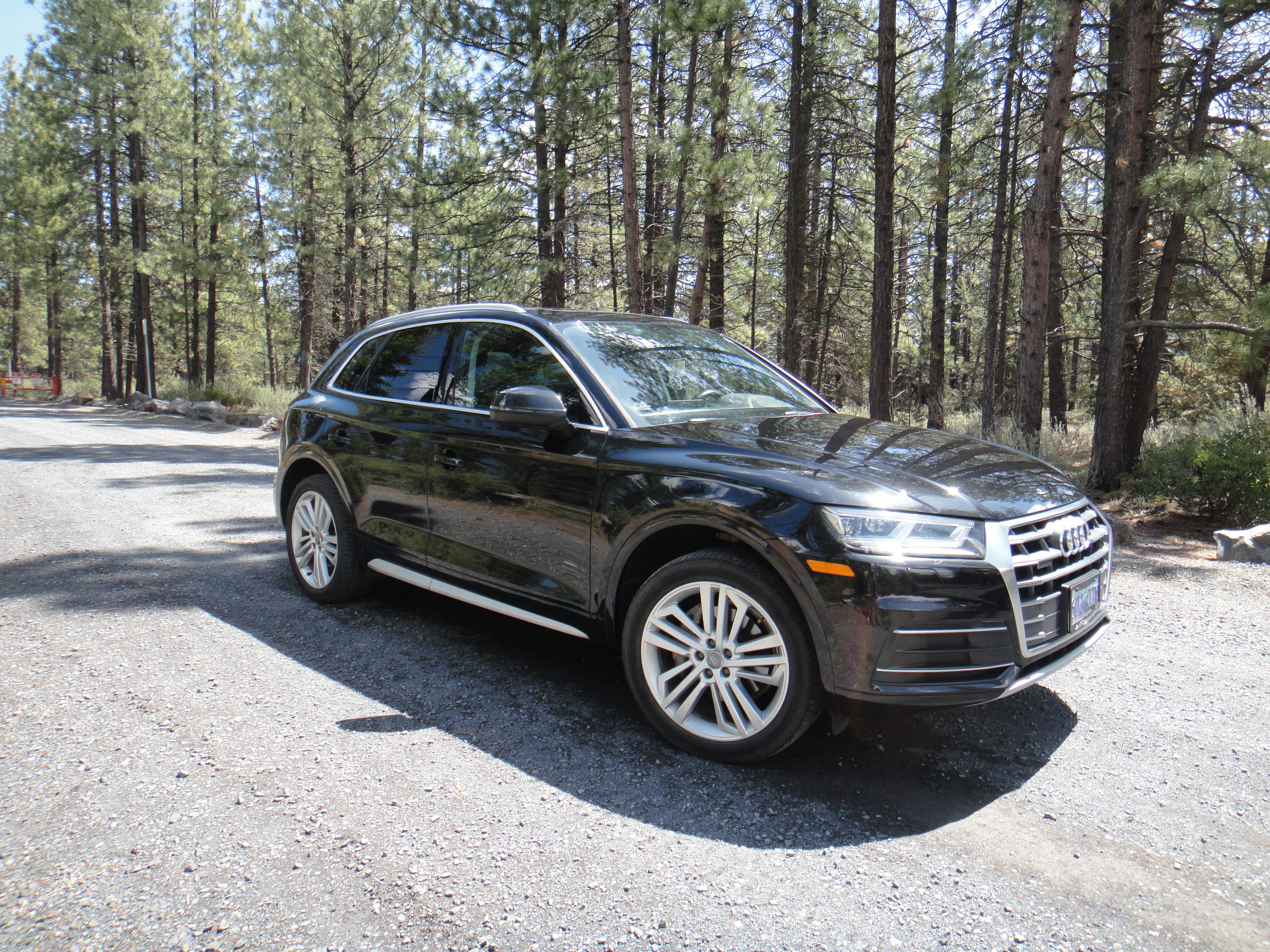 Used 2019 Audi Q5 2.0T Premium Plus w/ Premium Plus Package AWD/4WD image 1