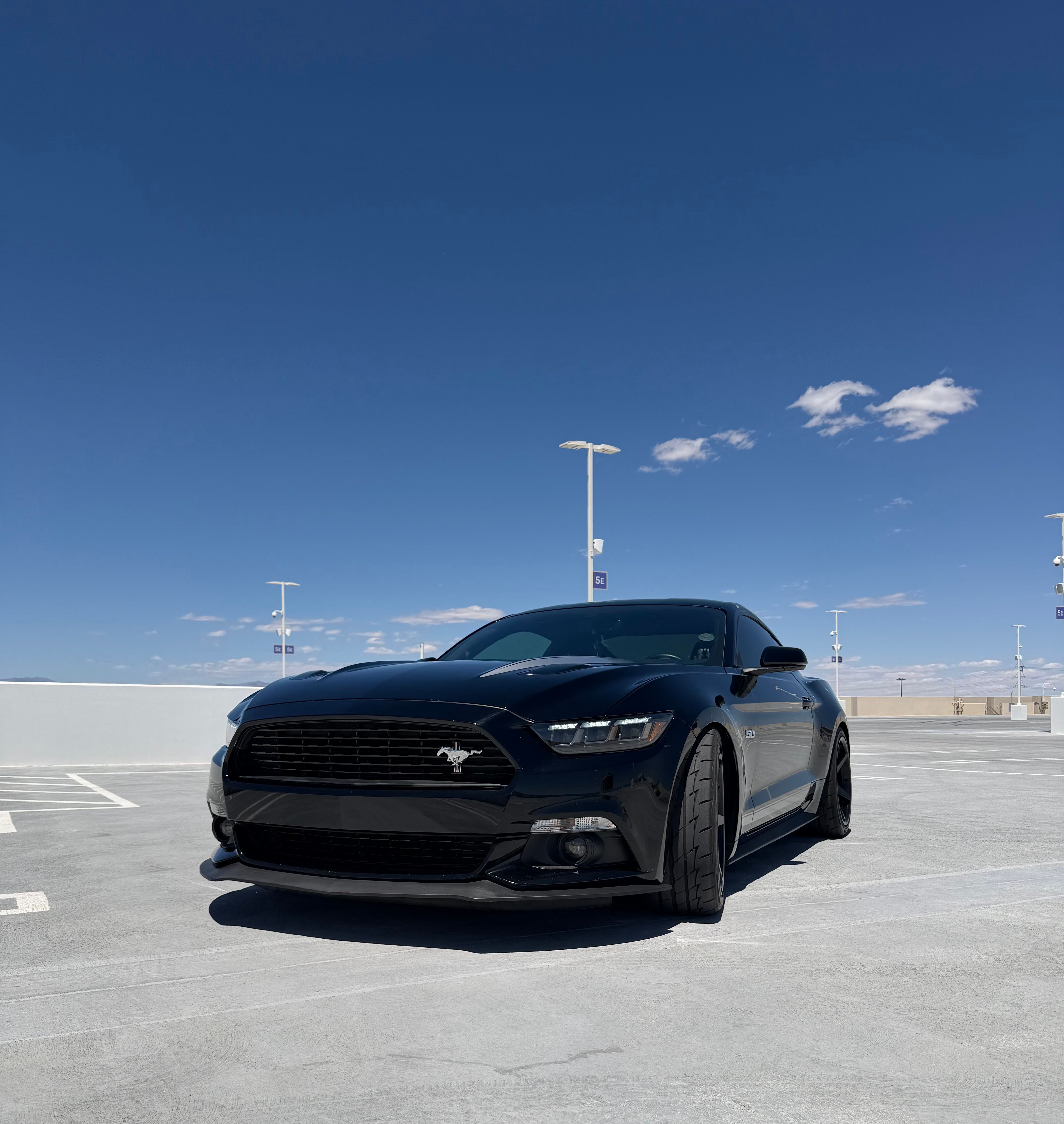 Used 2016 Ford Mustang GT Premium w/ Equipment Group 401A RWD image 14