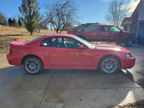 Used 2003 Ford Mustang Cobra image 9